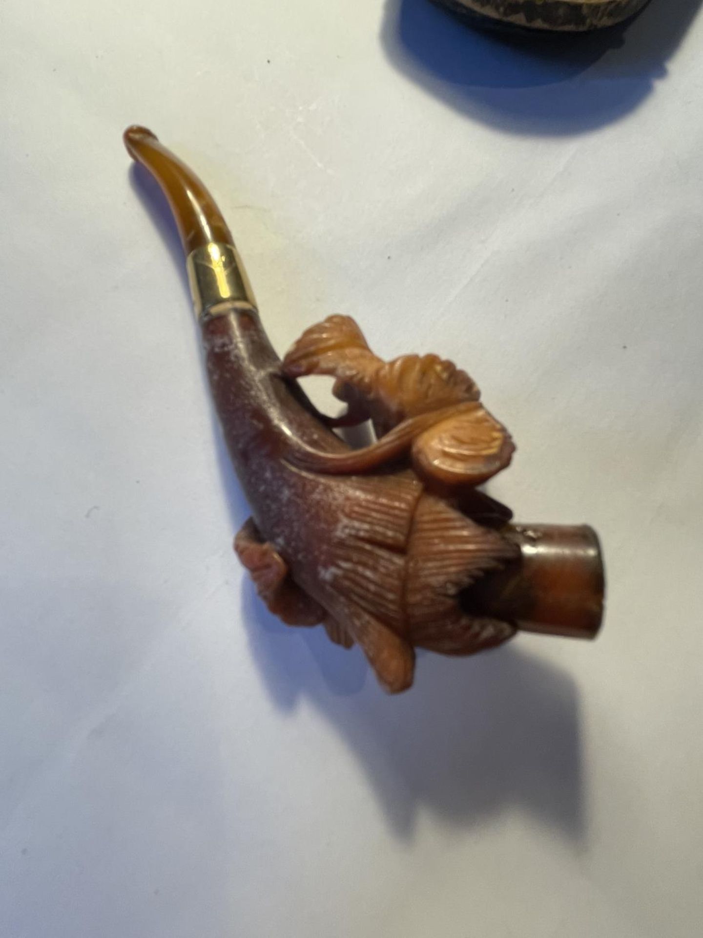 A MEERSCHAUN FOLIATE CARVED PIPE WITH 18 CARAT GOLD COLLAR MARKED 1893 WITH ORIGINAL CASE - Image 4 of 6