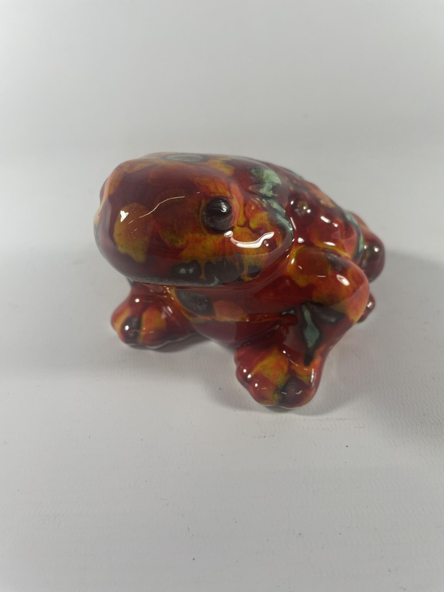 AN ANITA HARRIS HAND PAINTED AND SIGNED TOAD