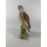 A BESWICK NO.2316 KESTREL BIRD FIGURE