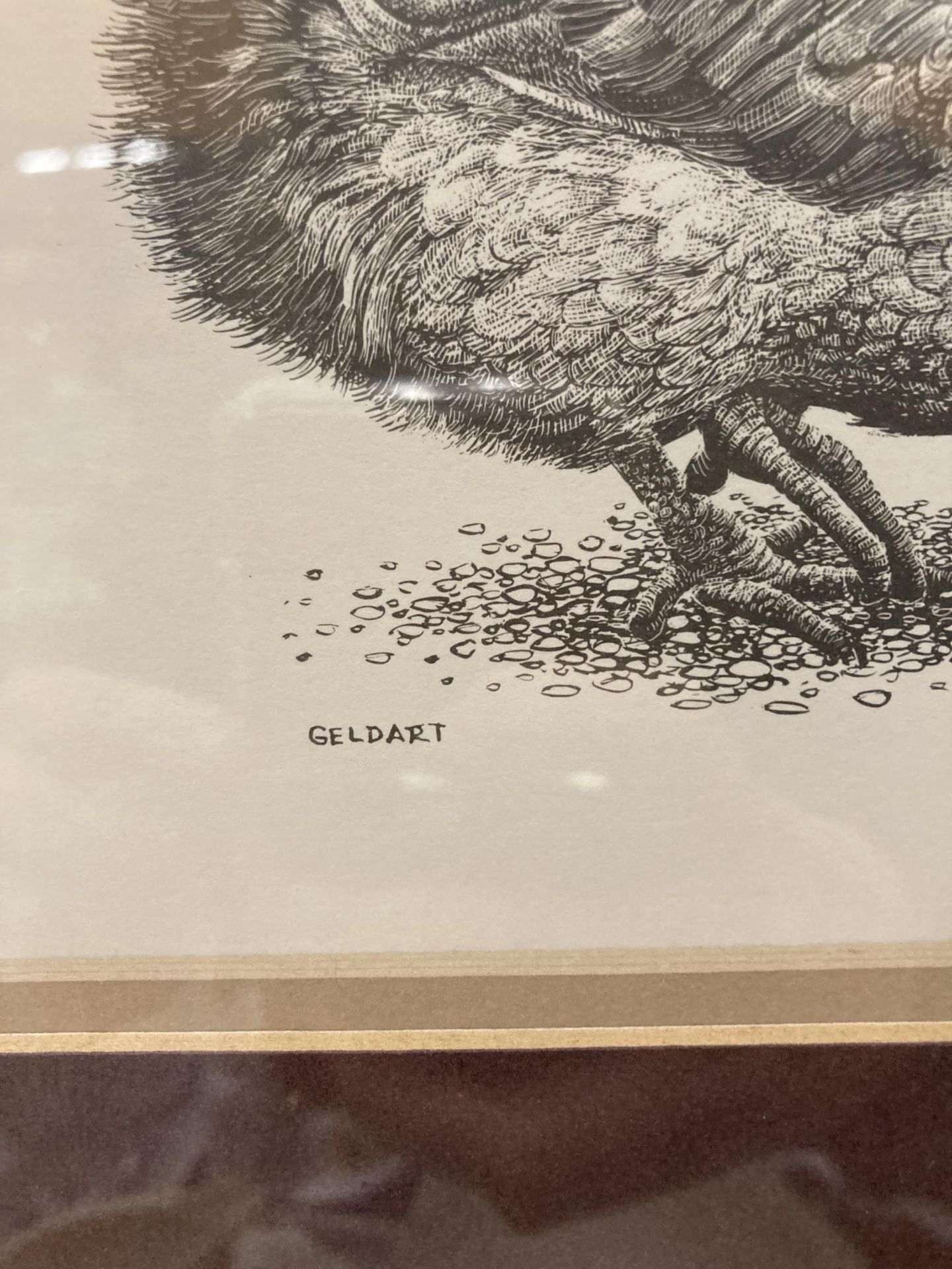 A GELDART PRINT OF A CHICKEN AND A CATERPILLAR 33CM X 32CM - Image 3 of 3