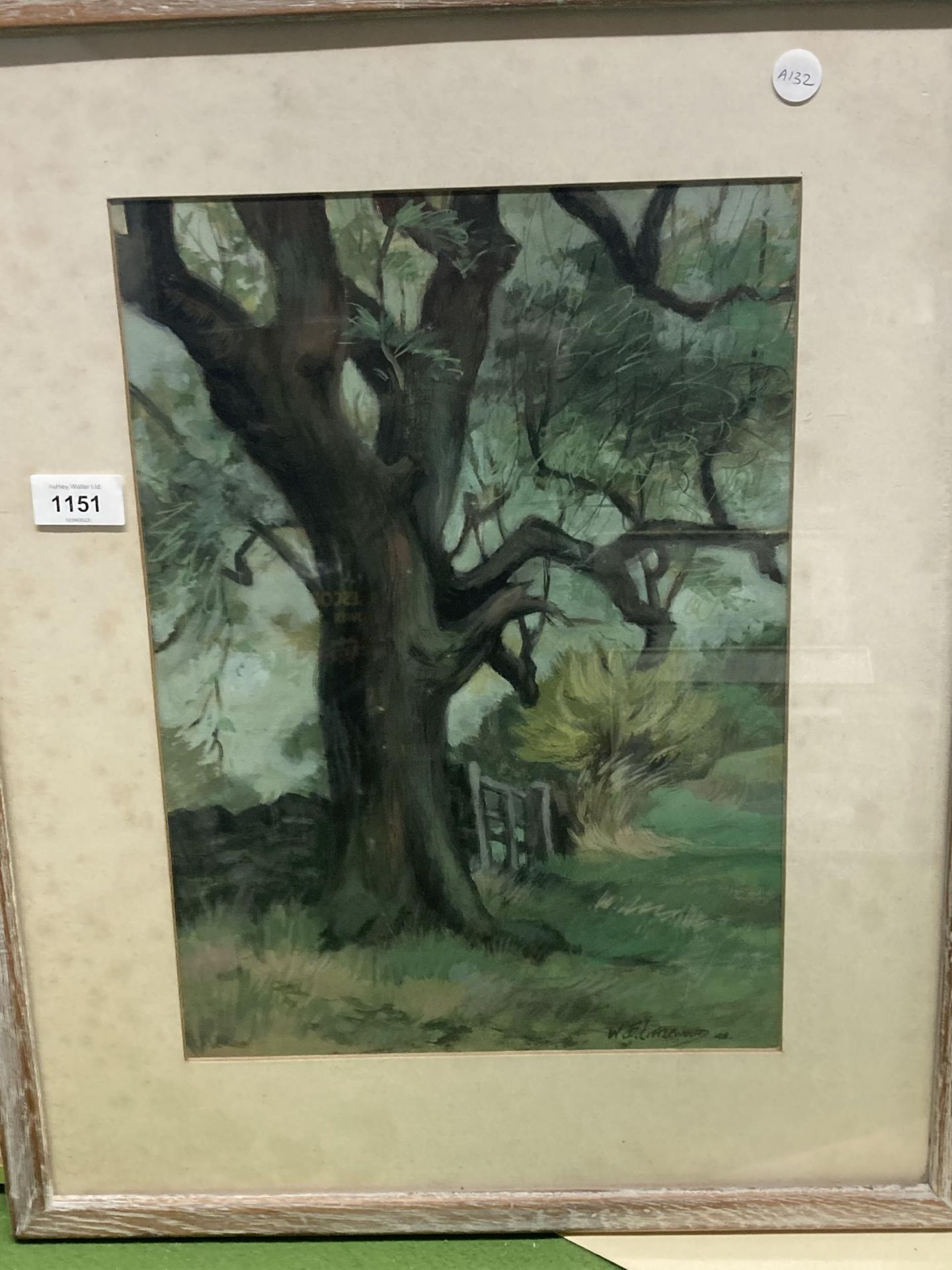 A WATERCOLOUR OF AN OAK TREE SIGNED W F LITTLEWOOD, FRAMED 46CM X 56CM