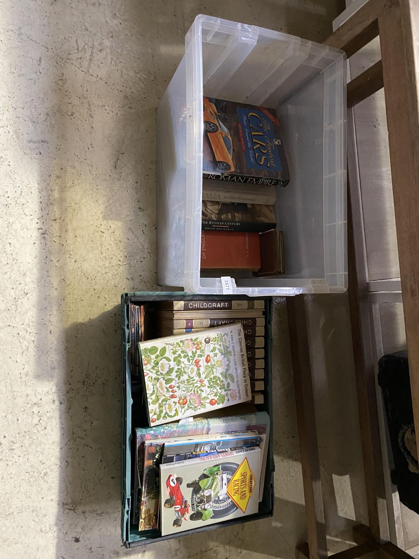 TWO BOXES OF ASSORTED BOOKS, CARS, PLANTS ETC