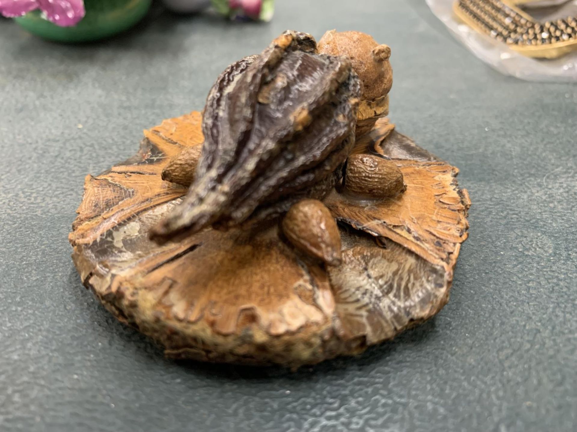 AN AUSTRALIAN WOOD AND NUT MODEL OF A TURTLE - Image 2 of 4