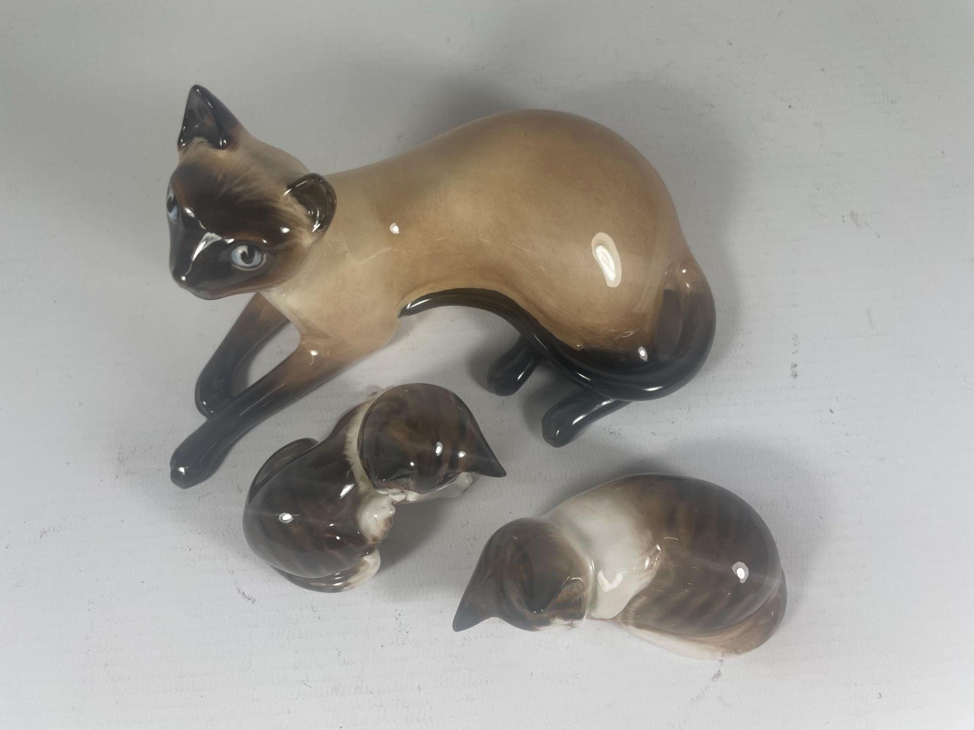 THREE ROYAL DOULTON CATS TO INCLUDE SIAMESE HN2662 (SECONDS) - Image 2 of 6