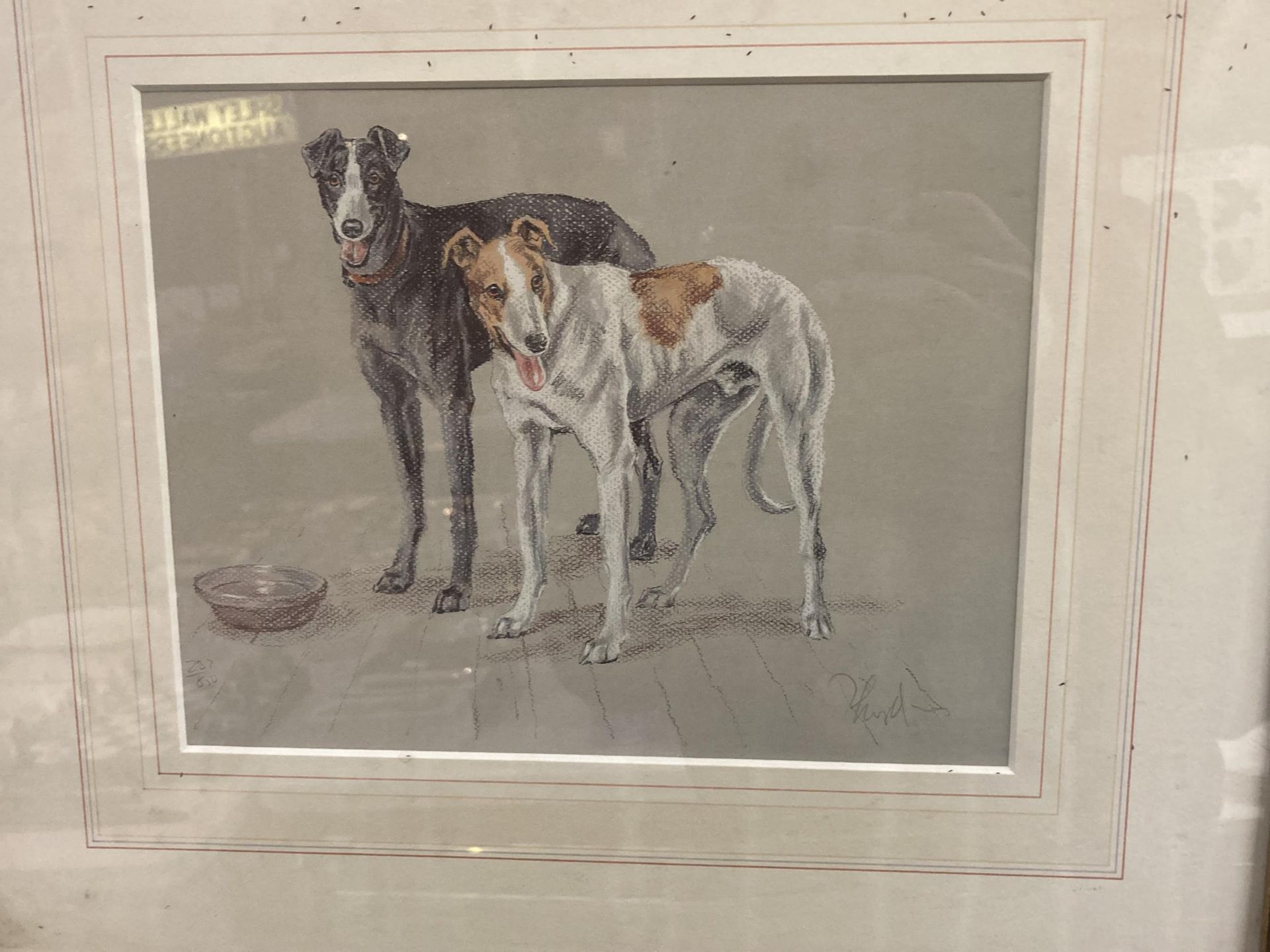 TWO FRAMED AND MOUNTED PRINTS OF GREYHOUNDS BOTH SIGNED ONE OF WHICH IS A LIMITED EDITION - Image 4 of 5