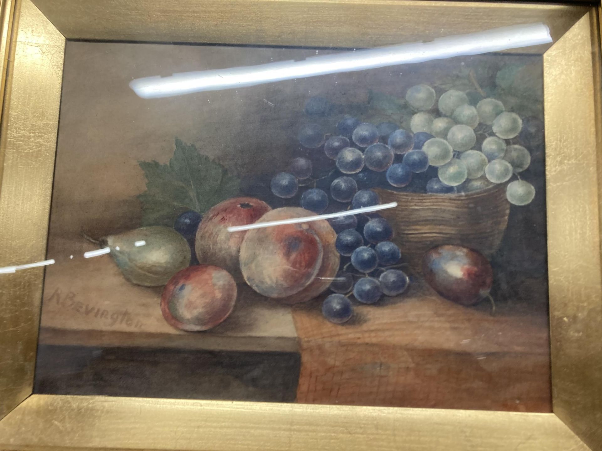 FOUR STILL LIFE WATERCOLOURS OF FRUIT IN GILT FRAMES - Image 4 of 6