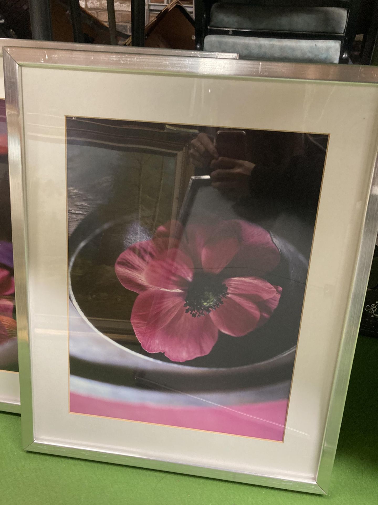 THREE MODERN FLORAL PRINTS IN SILVER FRAME - Image 4 of 4