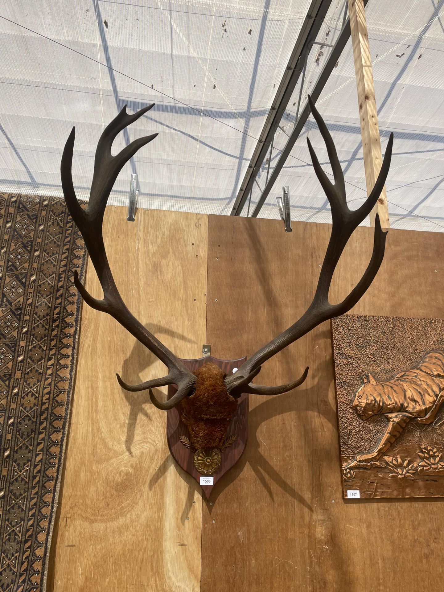 A PAIR OF ANTLERS MOUNTED ON A WOODEN PLINTH