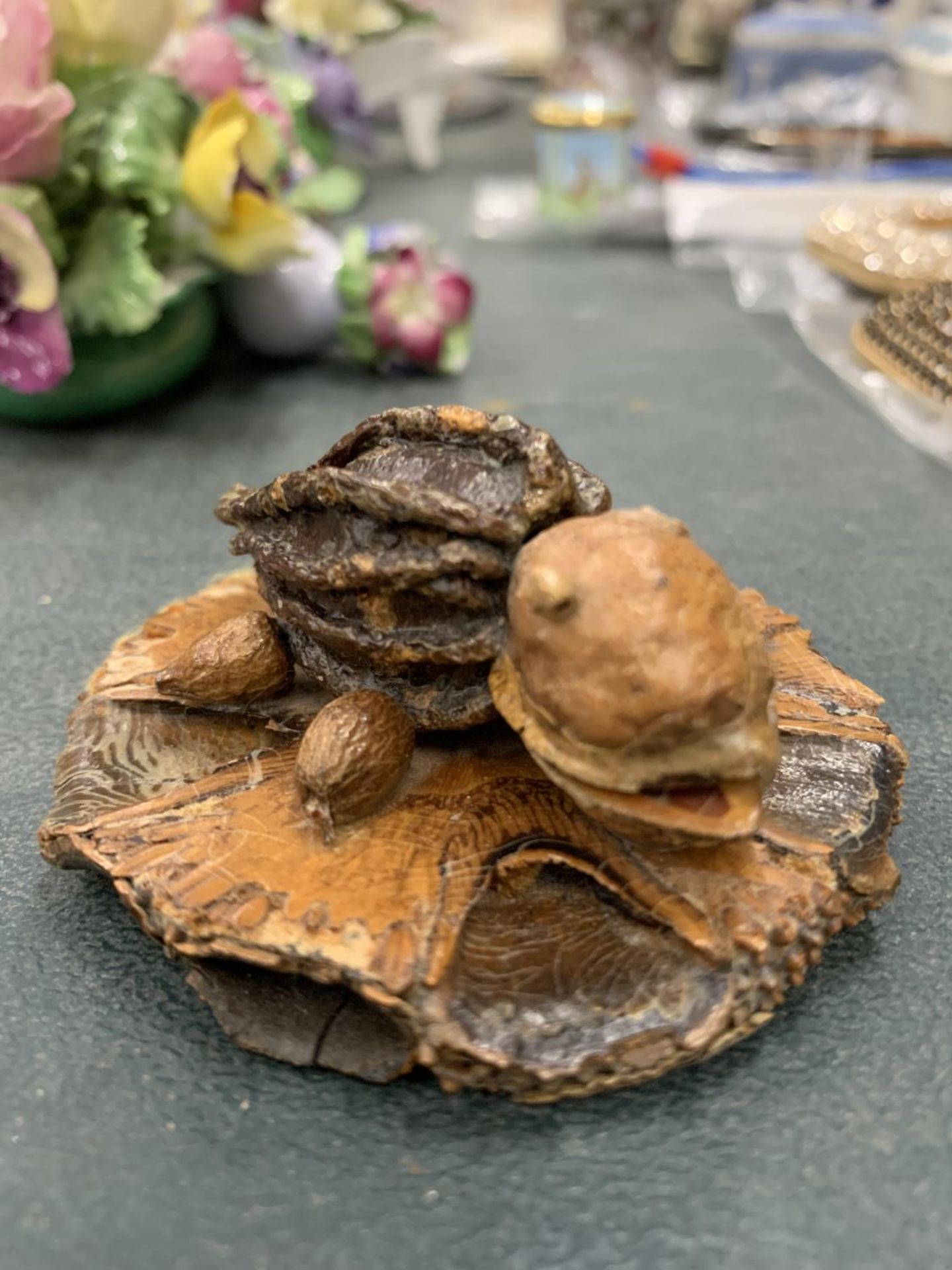 AN AUSTRALIAN WOOD AND NUT MODEL OF A TURTLE