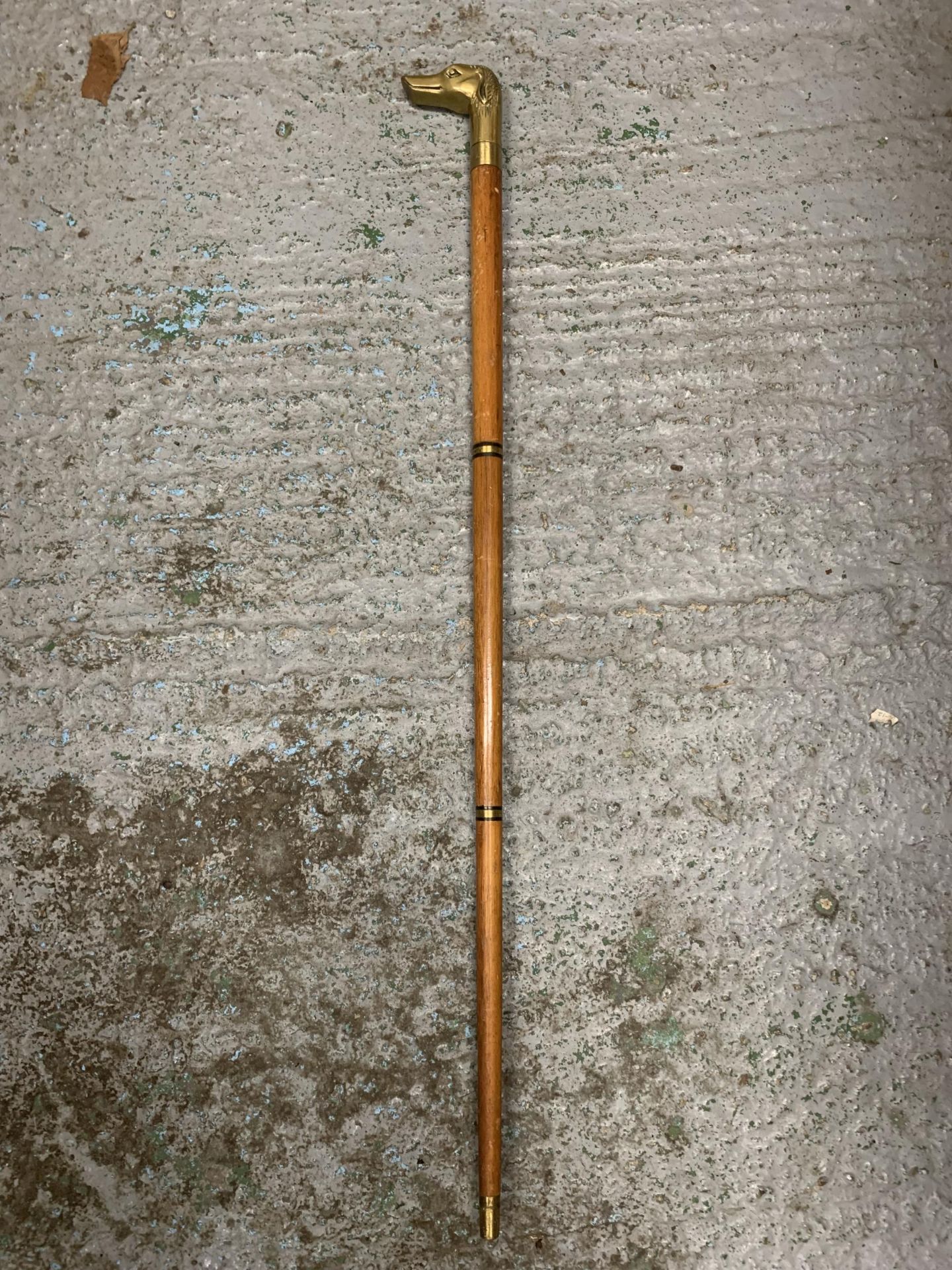 A VINTAGE WOODEN WALKING STICK WITH BRASS GREYHOUND FINIAL