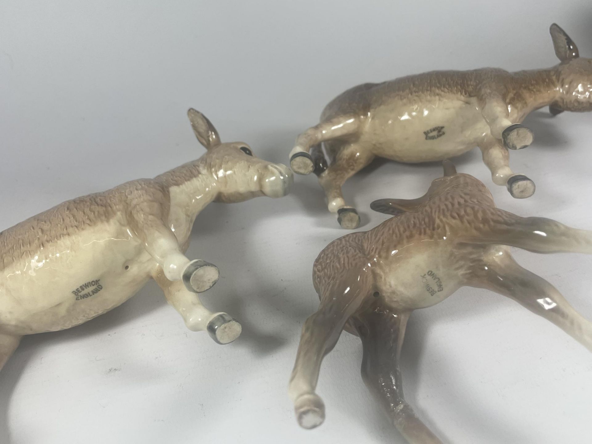 THREE BESWICK DONKEYS (ONE LEG & EAR A/F) - Image 5 of 5