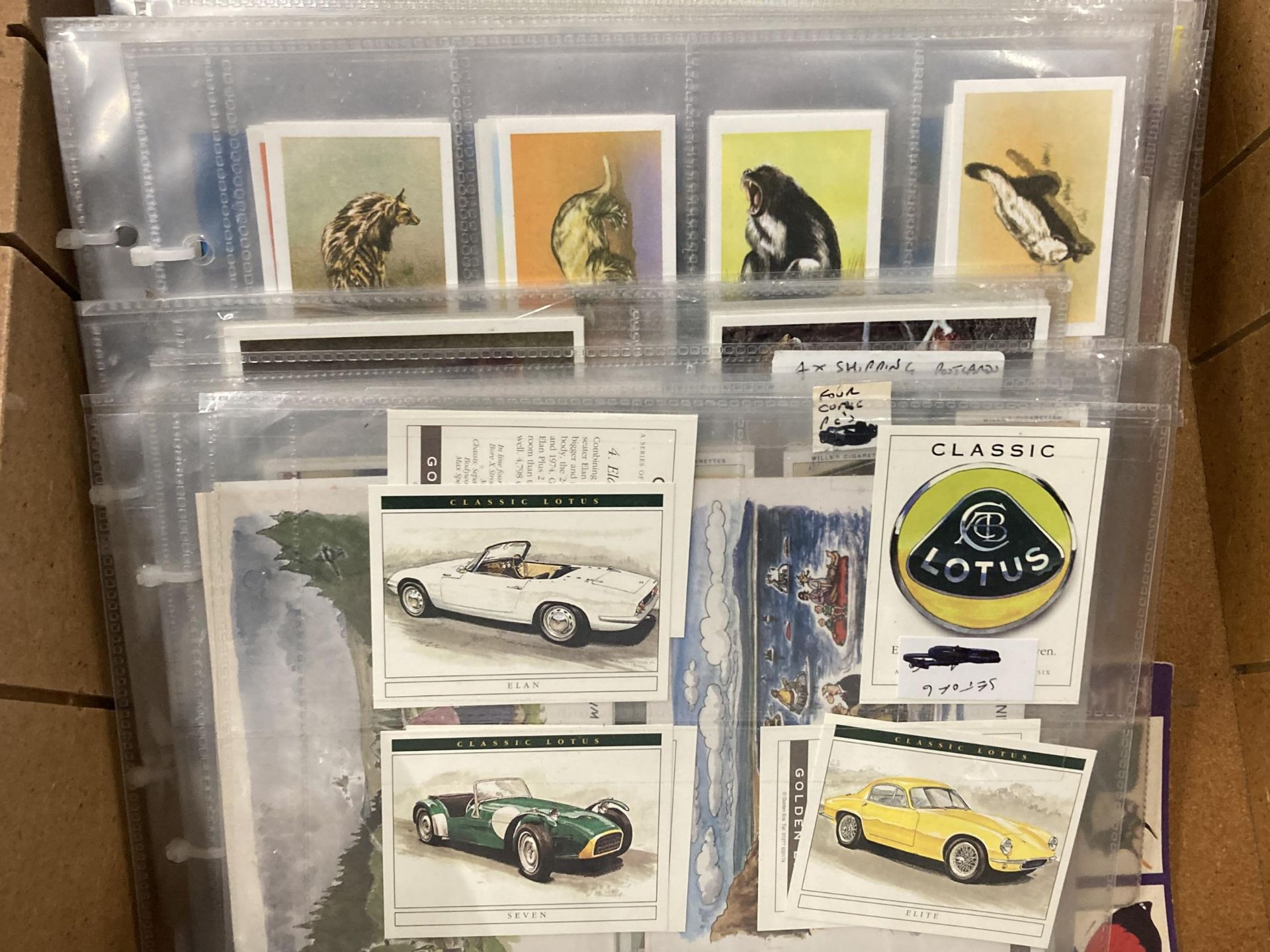 A LARGE COLLECTION OF CIGARETTE AND OTHER CARDS TO INCLUDE PLANES, BIRDS, SPORTSMEN, ETC - Image 2 of 6