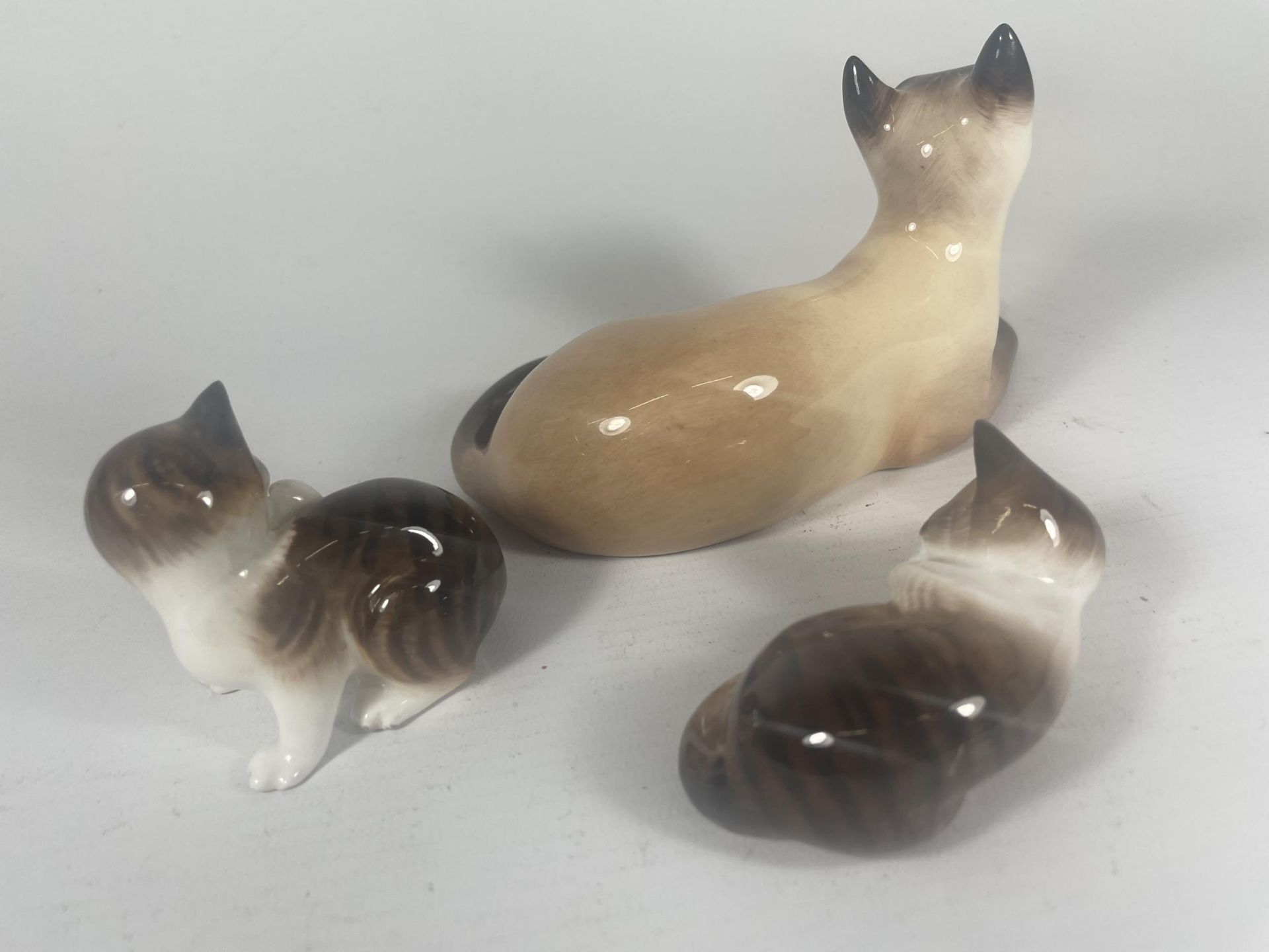 THREE ROYAL DOULTON CATS TO INCLUDE SIAMESE HN2662 (SECONDS) - Image 5 of 6