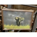 A LARGE FRAMED DAVID SHEPHERD PRINT OF AN ELEPHANT 85CM X 59CM