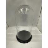 A LARGE VINTAGE GLASS DISPLAY DOME, HEIGHT 40CM, DIAMETER 23CM