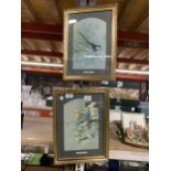 TWO FRAMED PRINTS OF BIRDS - A NUTHATCH AND A PIED WAGTAIL