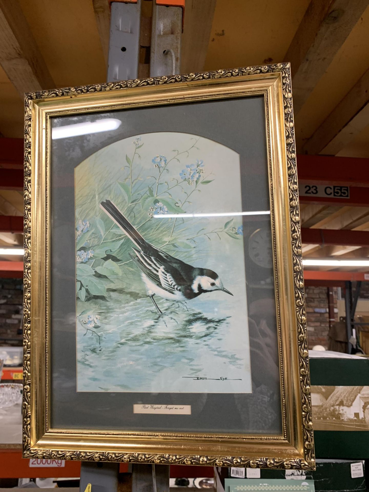 TWO FRAMED PRINTS OF BIRDS - A NUTHATCH AND A PIED WAGTAIL - Image 4 of 10