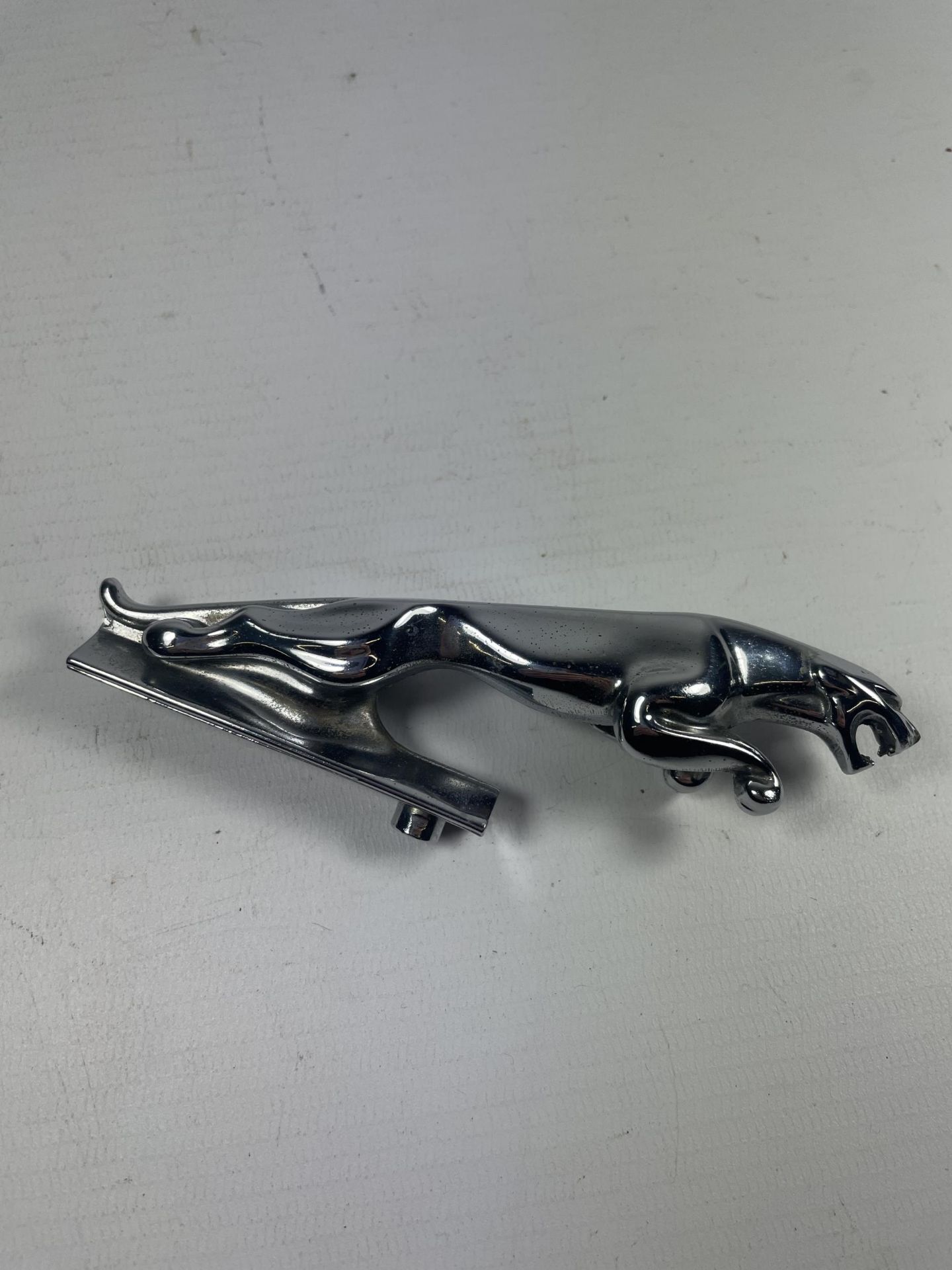 A VINTAGE JAGUAR CAR BONNET MASCOT LENGTH 12.5CM