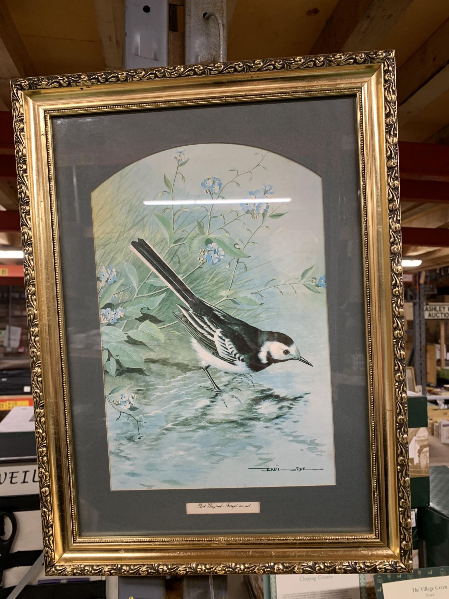 TWO FRAMED PRINTS OF BIRDS - A NUTHATCH AND A PIED WAGTAIL - Image 3 of 10