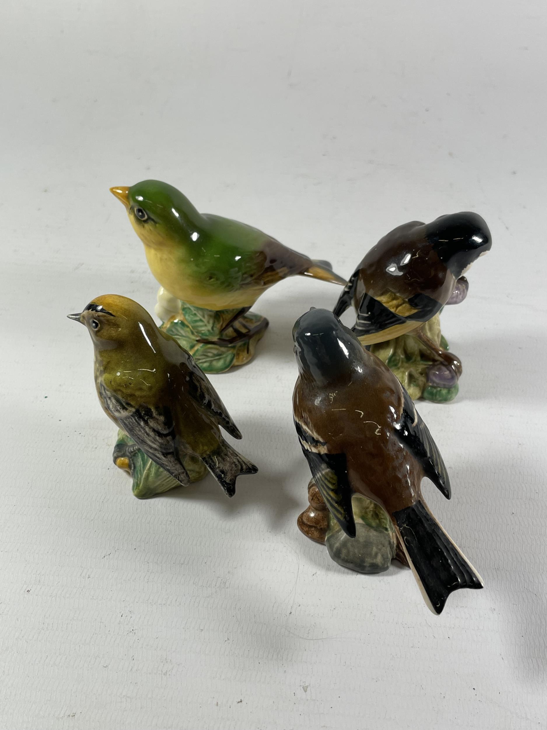 FOUR BESWICK BIRDS TO INCLUDE A GREENFINCH, GOLDCREST, CHAFFINCH AND A GOLDFINCH - Image 2 of 3