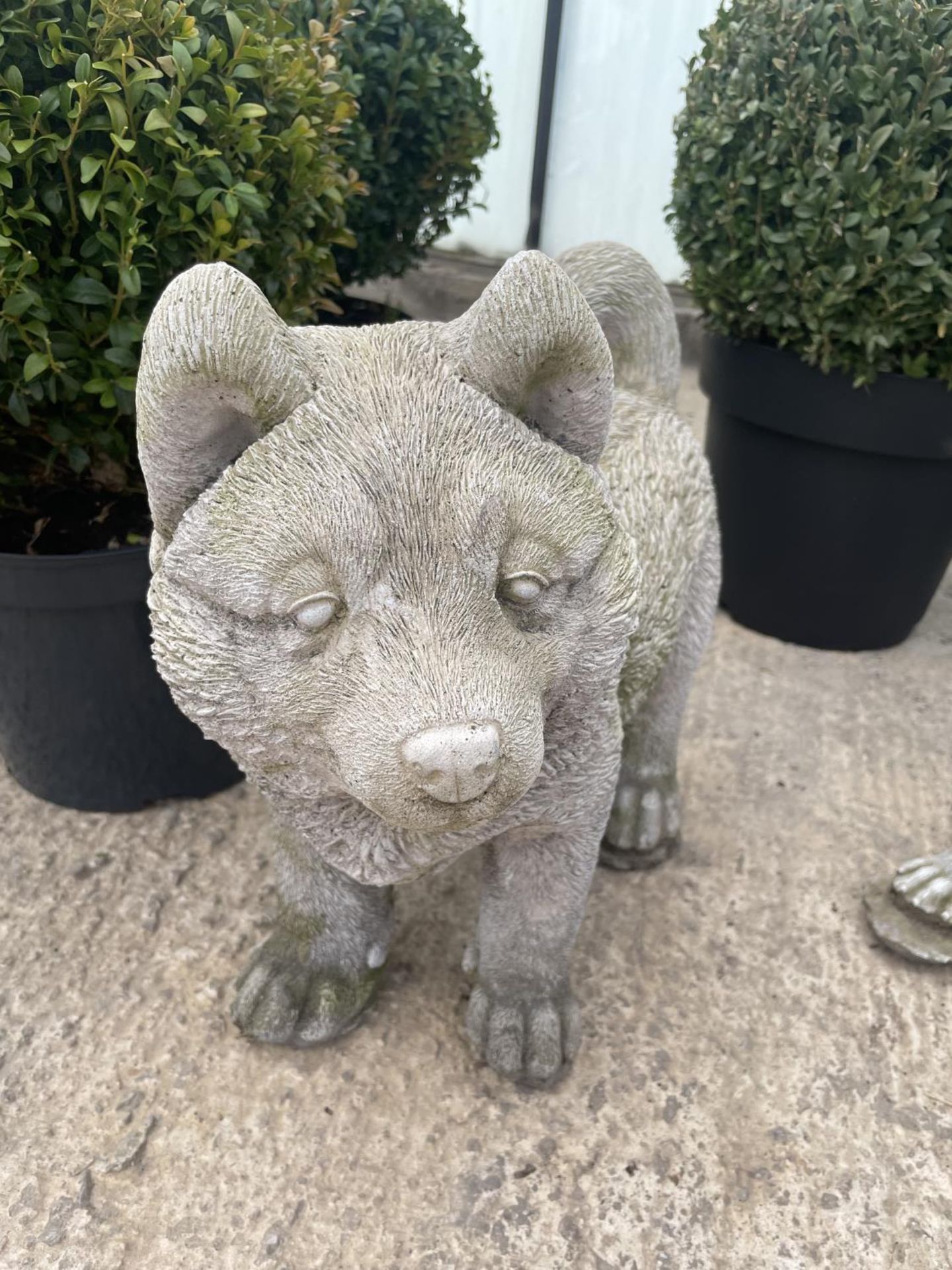 A CONCRETE ORNAMENT OF CHOW CHOW DOG NO VAT - Image 2 of 2