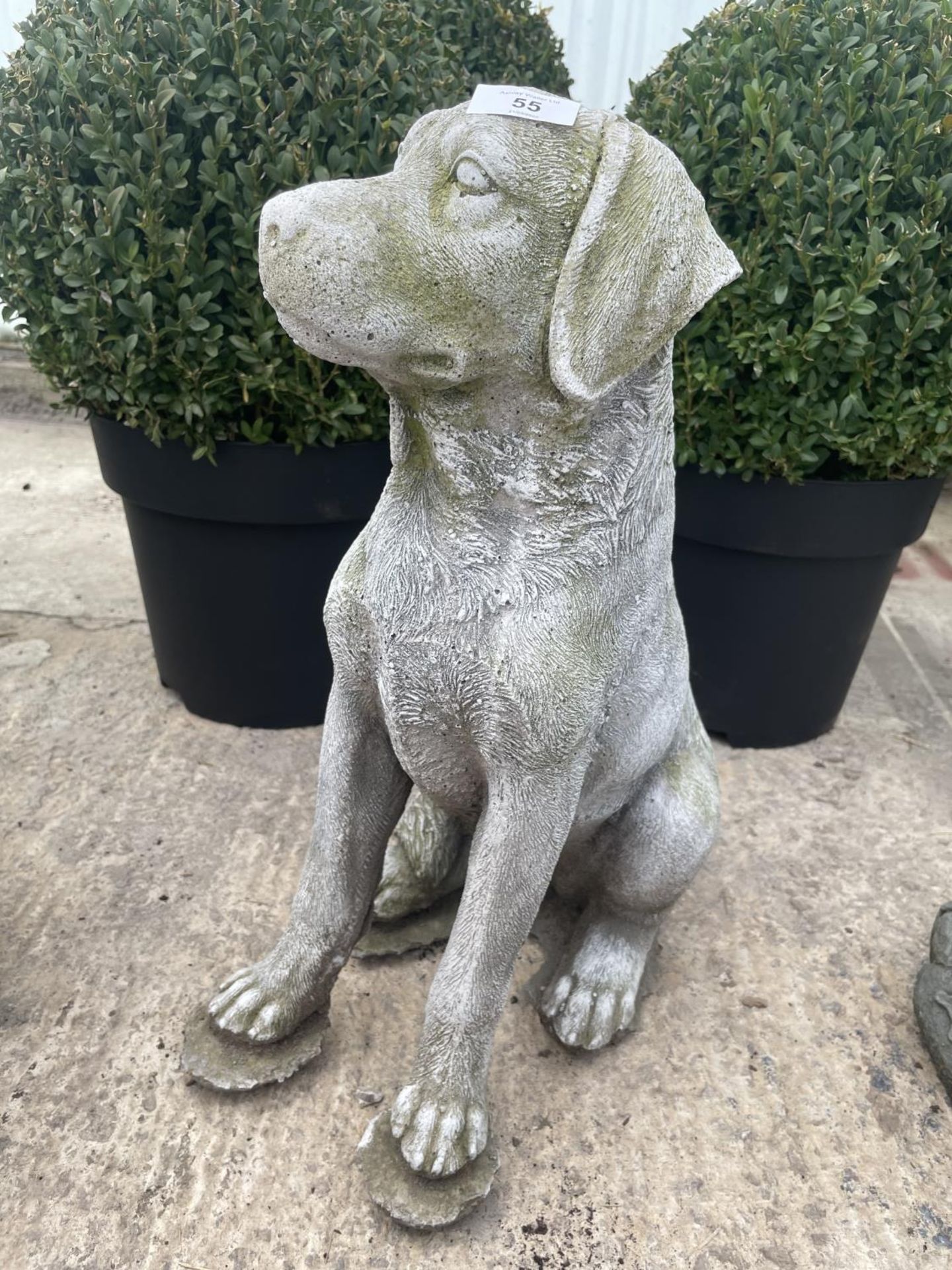 A CONCRETE ORNAMENT OF A LABRADOR NO VAT