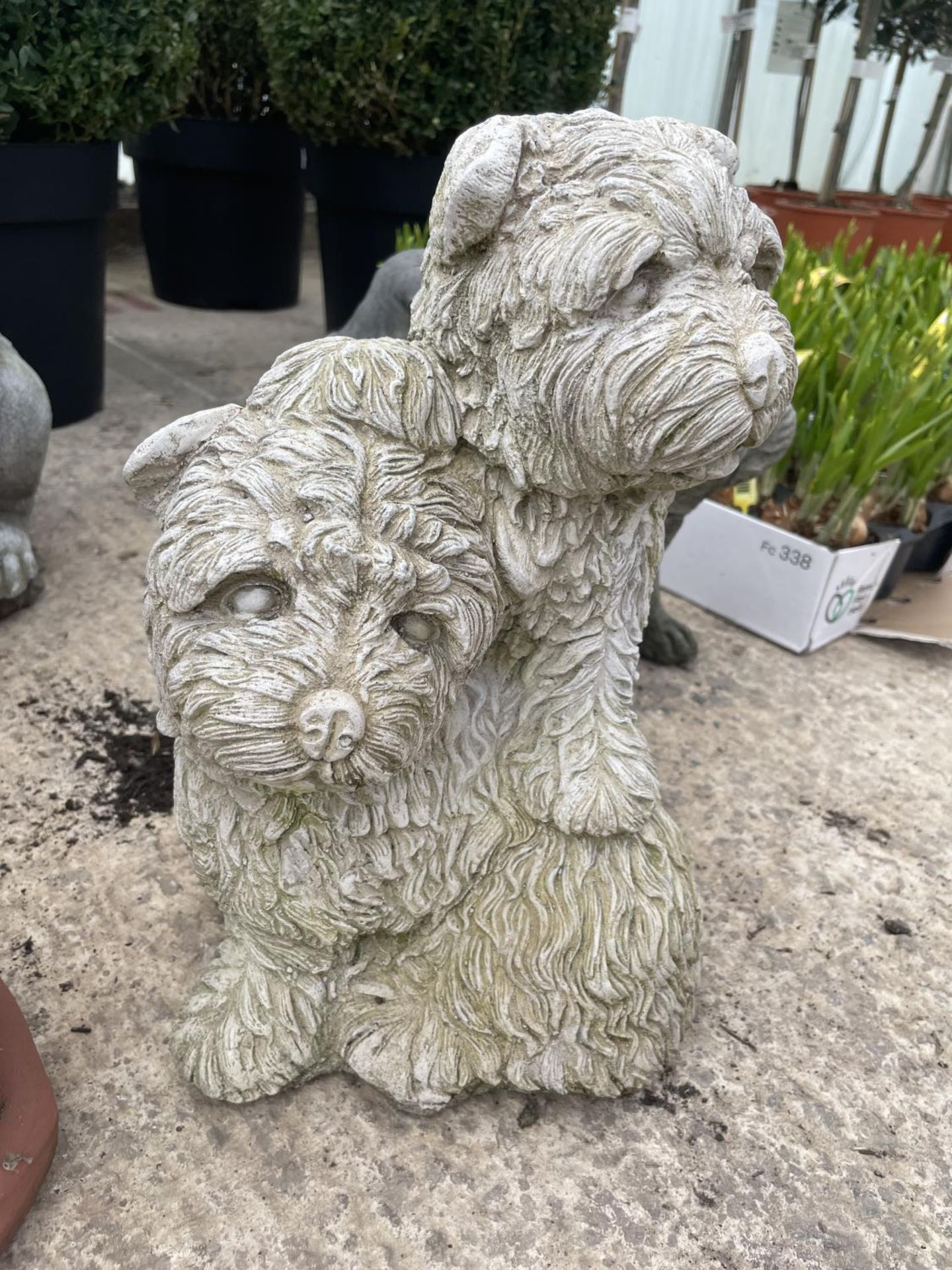 A CONCRETE ORNAMENT OF TWO WESTIES PLAYING NO VAT - Image 2 of 2