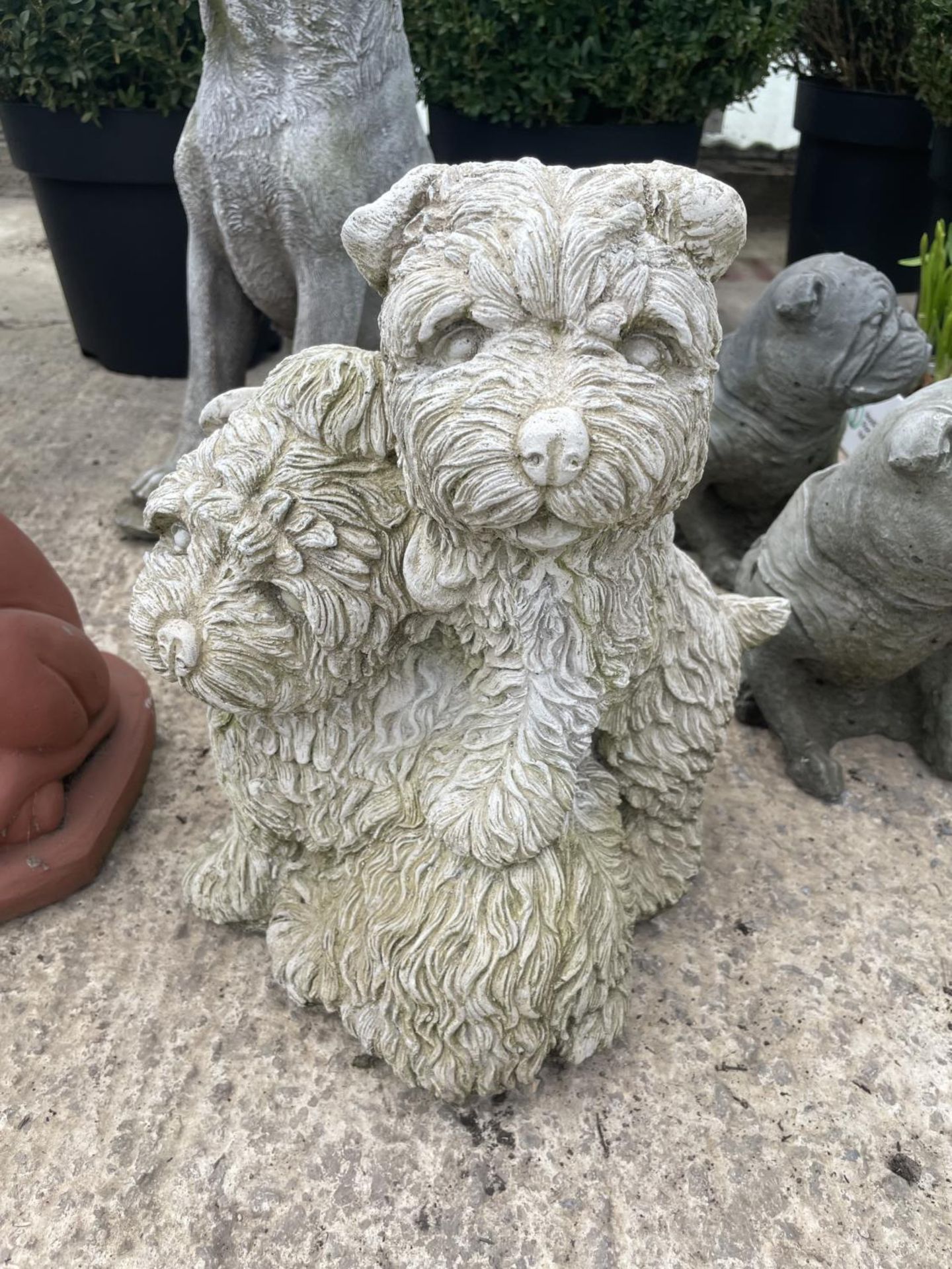 A CONCRETE ORNAMENT OF TWO WESTIES PLAYING NO VAT