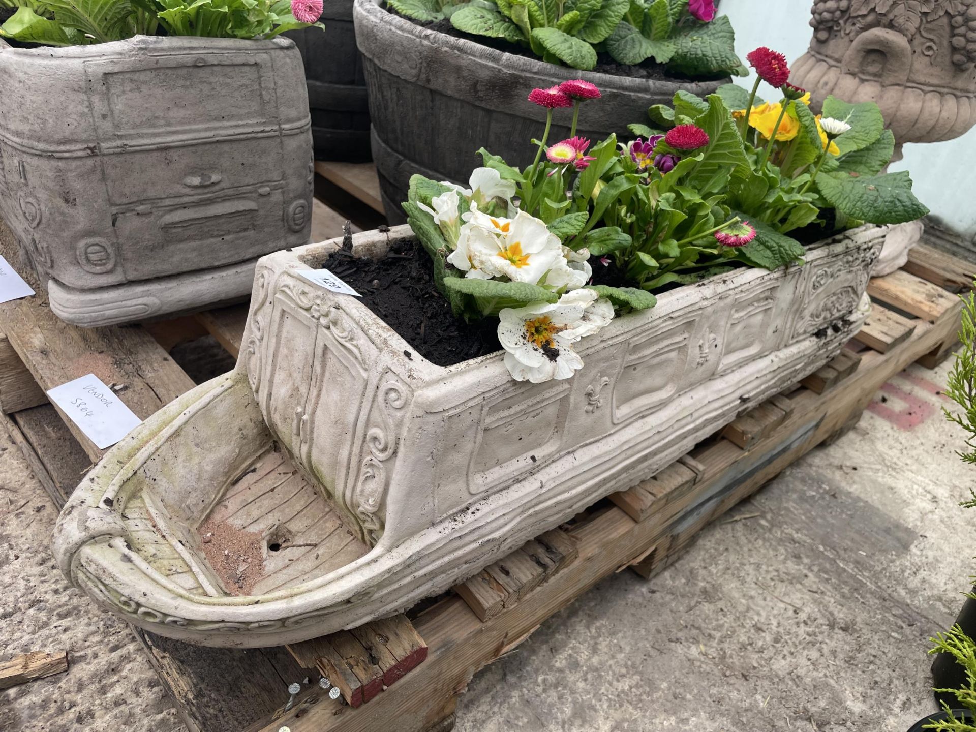 A CONCRETE MODEL OF A CANAL BARGE PLANTED WITH PRIMULAS AND BELLIS DAISYS - NO VAT