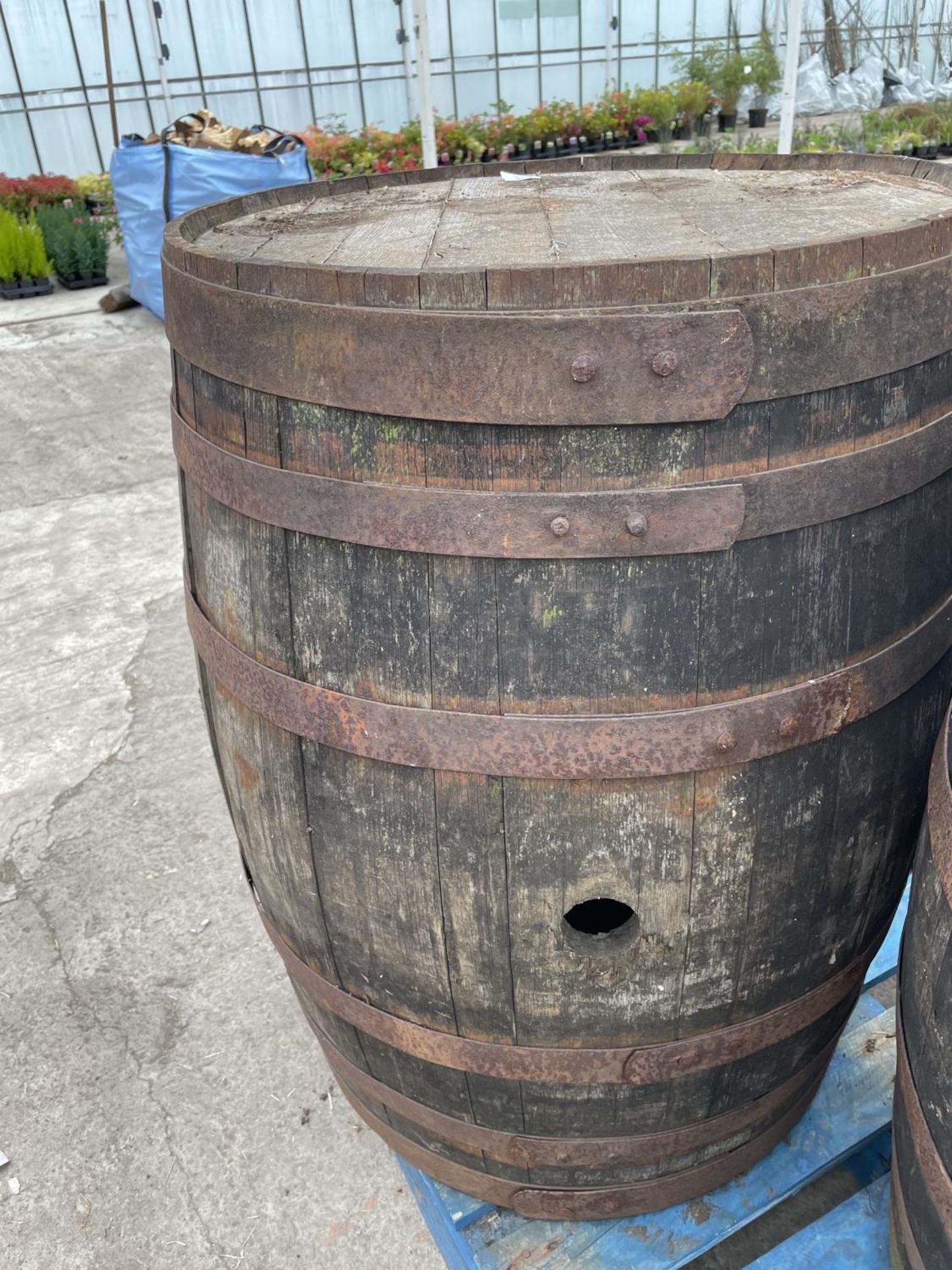 A FULL OAK BARREL -NO VAT - Image 2 of 2