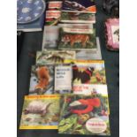 A LARGE QUANTITY OF BROOKE BOND TEA CARDS IN ALBUMS TO INCLUDE BRITISH WILD LIFE, PREHISTORIC