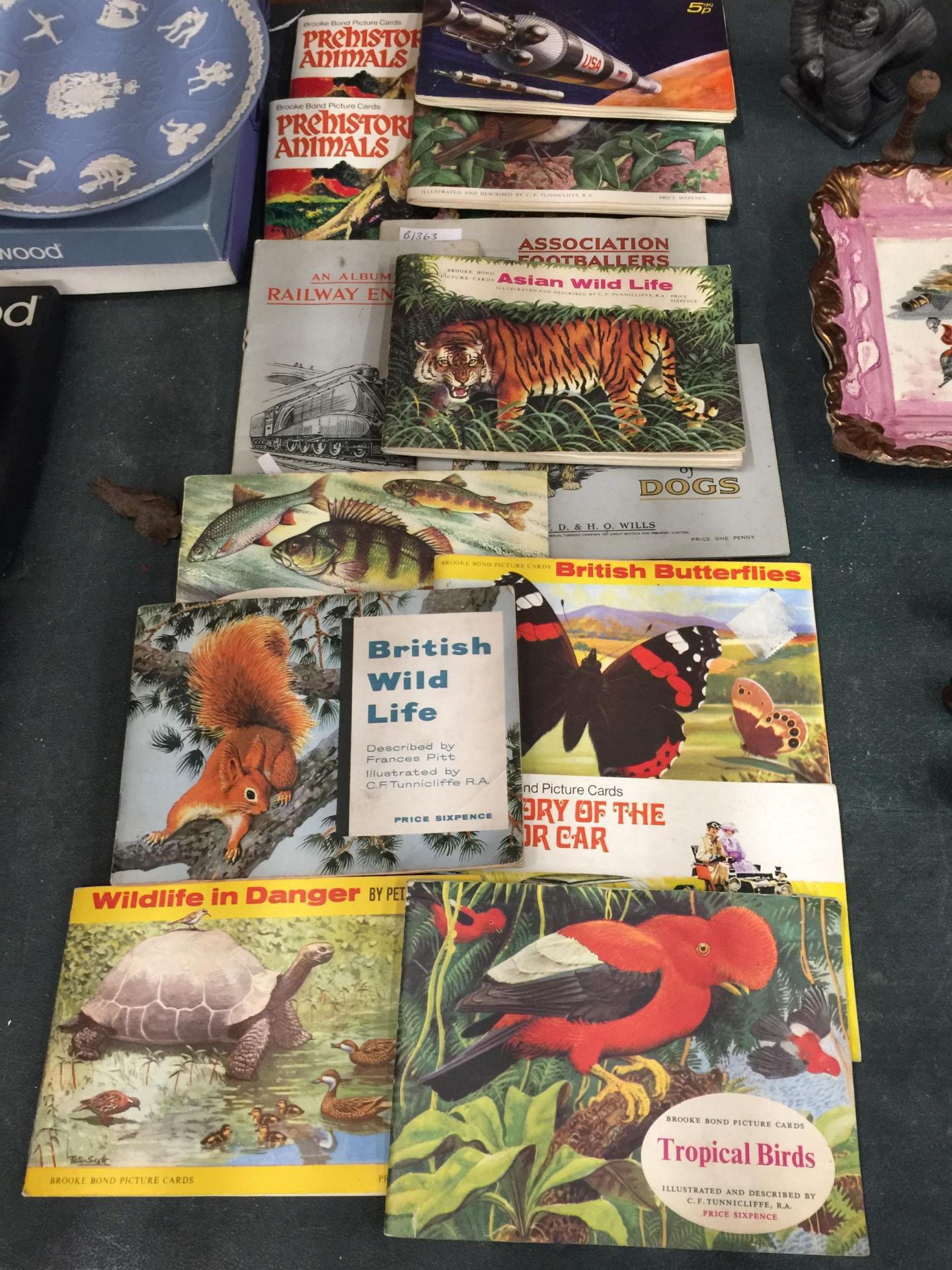 A LARGE QUANTITY OF BROOKE BOND TEA CARDS IN ALBUMS TO INCLUDE BRITISH WILD LIFE, PREHISTORIC