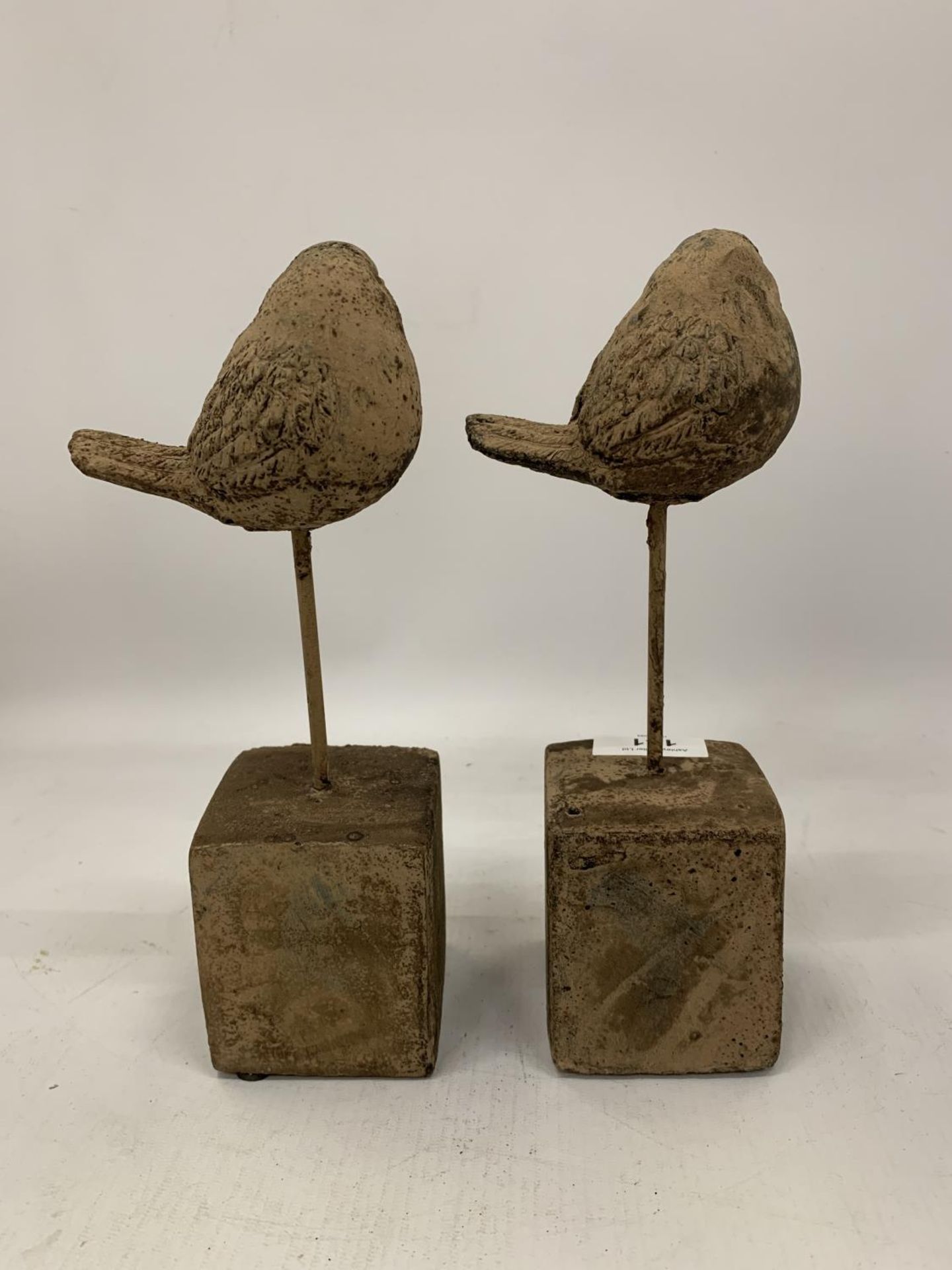 A PAIR OF STONE BIRDS ON PLINTHS HEIGHT 25CM - Image 5 of 5