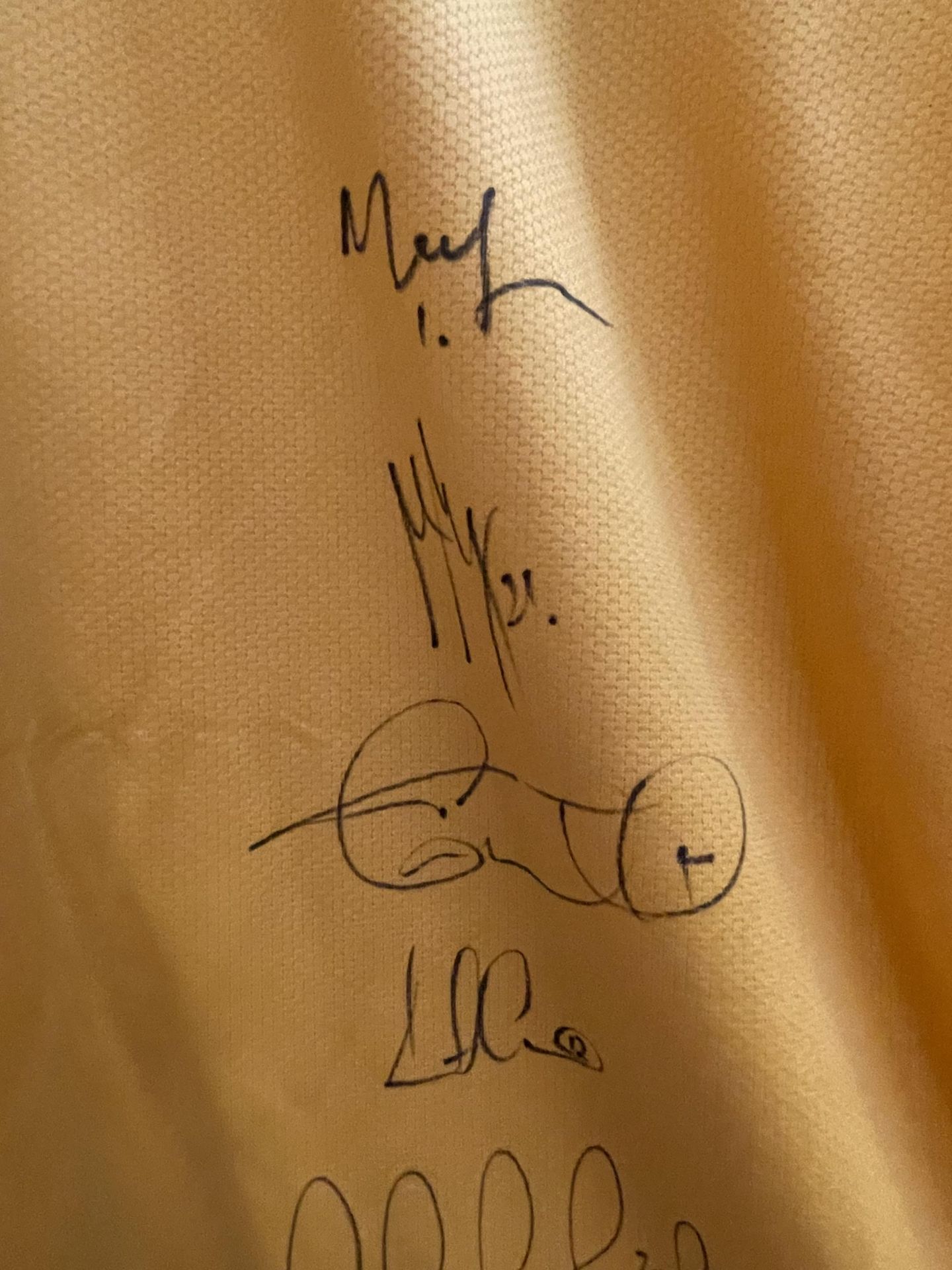 A SIGNED AUSTRALIAN FIFA 2006 WORLD CUP, GERMANY SHIRT - Image 7 of 9