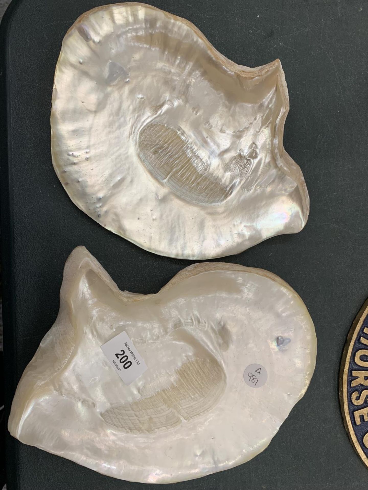 TWO MOTHER OF PEARL CAVIAR PLATES