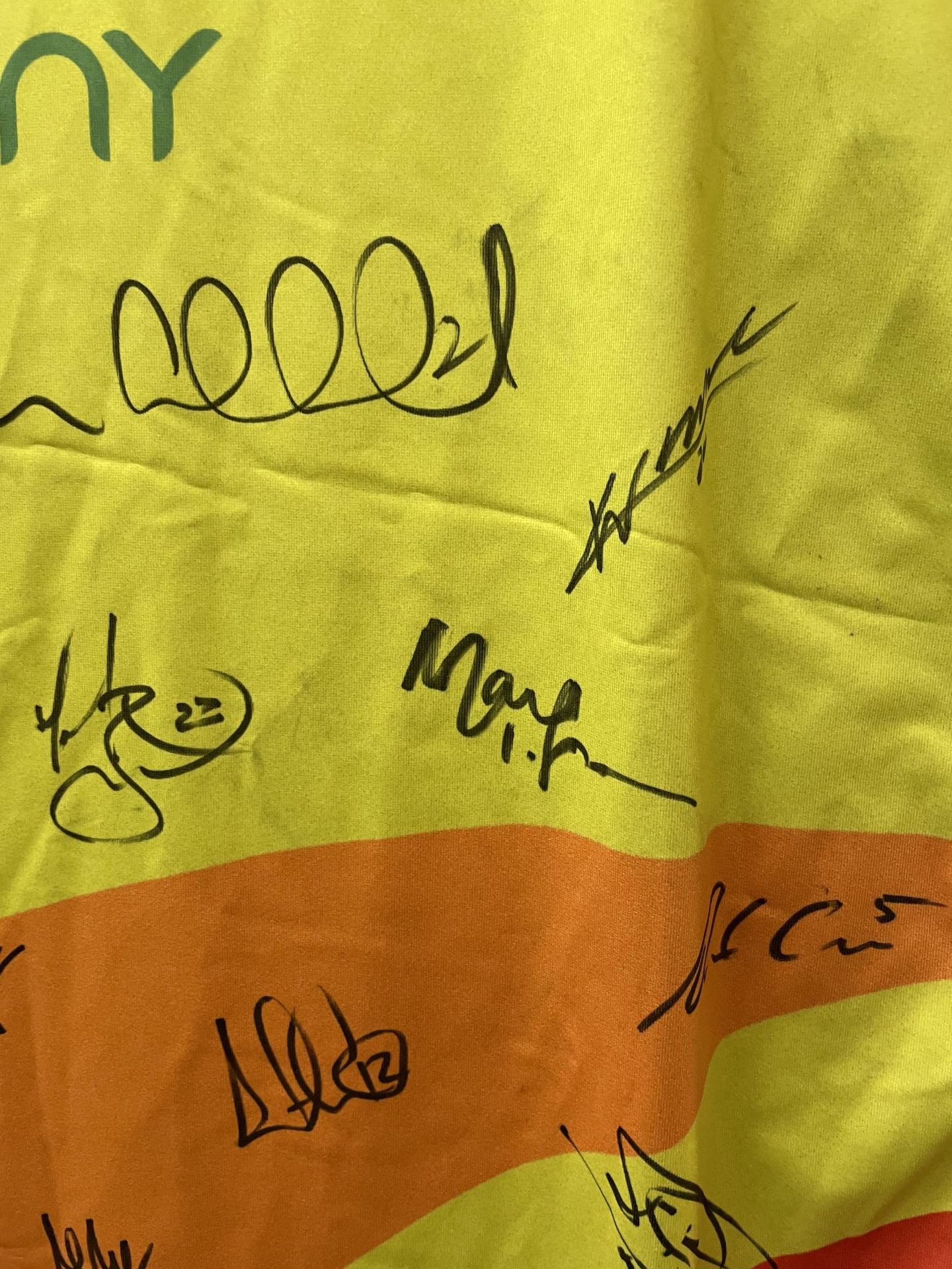 A FIFA WORLD CUP 2006 GERMANY SIGNED FLAG - Image 4 of 8