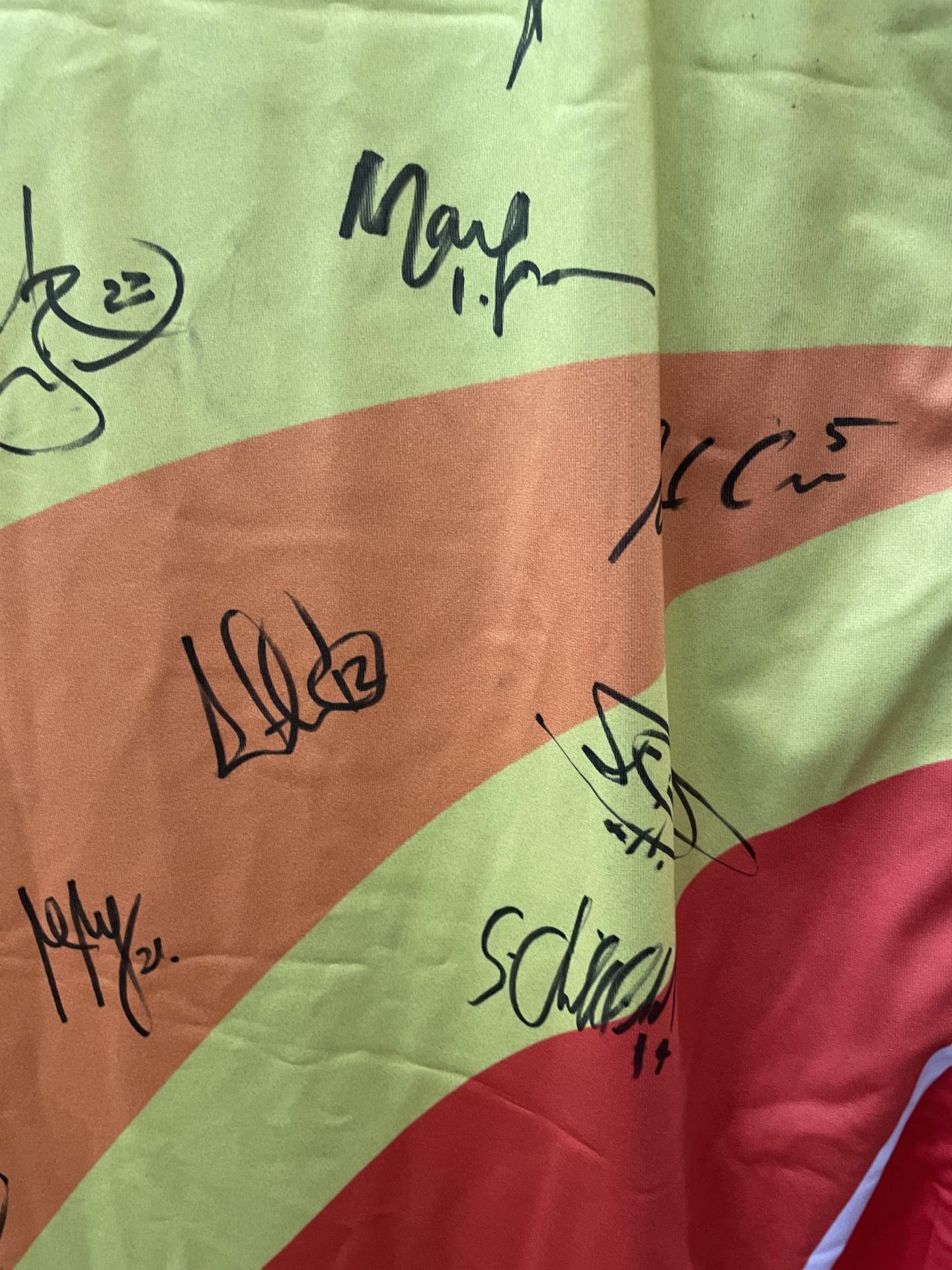 A FIFA WORLD CUP 2006 GERMANY SIGNED FLAG - Image 7 of 8