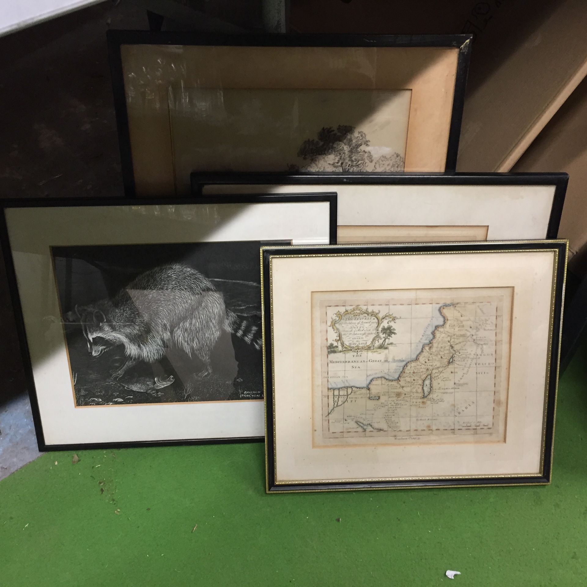 A GROUP OF VINTAGE FRAMED PRINTS TO INCLUDE A MAP OF THE MEDITERRANEAN SEA, RACCOON, PENCIL SIGNED