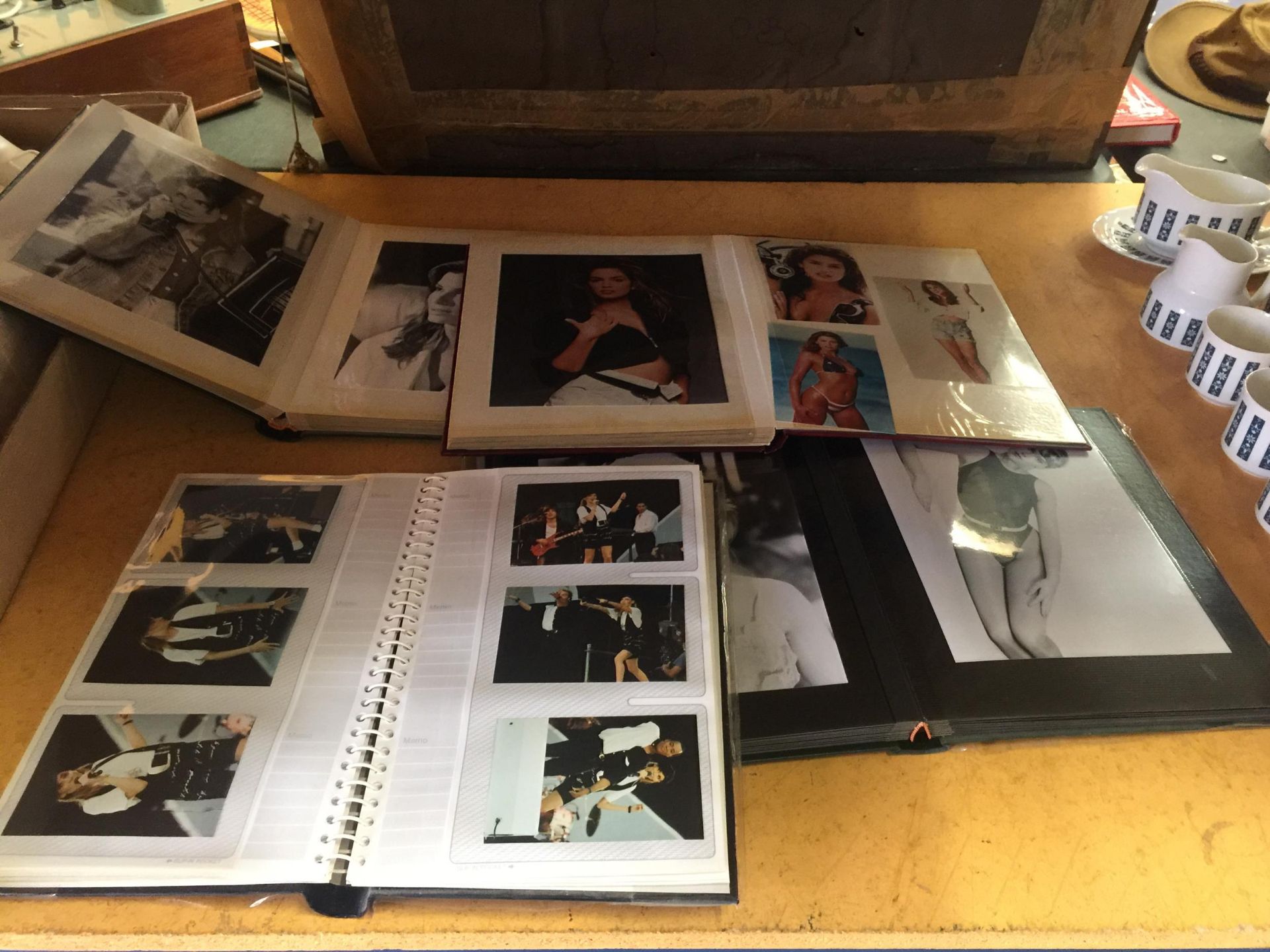 A LARGE QUANTITY OF PHOTOGRAPHS IN ALBUMS OF FEMALE ACTRESSES AND POP SINGERS TO INCLUDE SANDRA