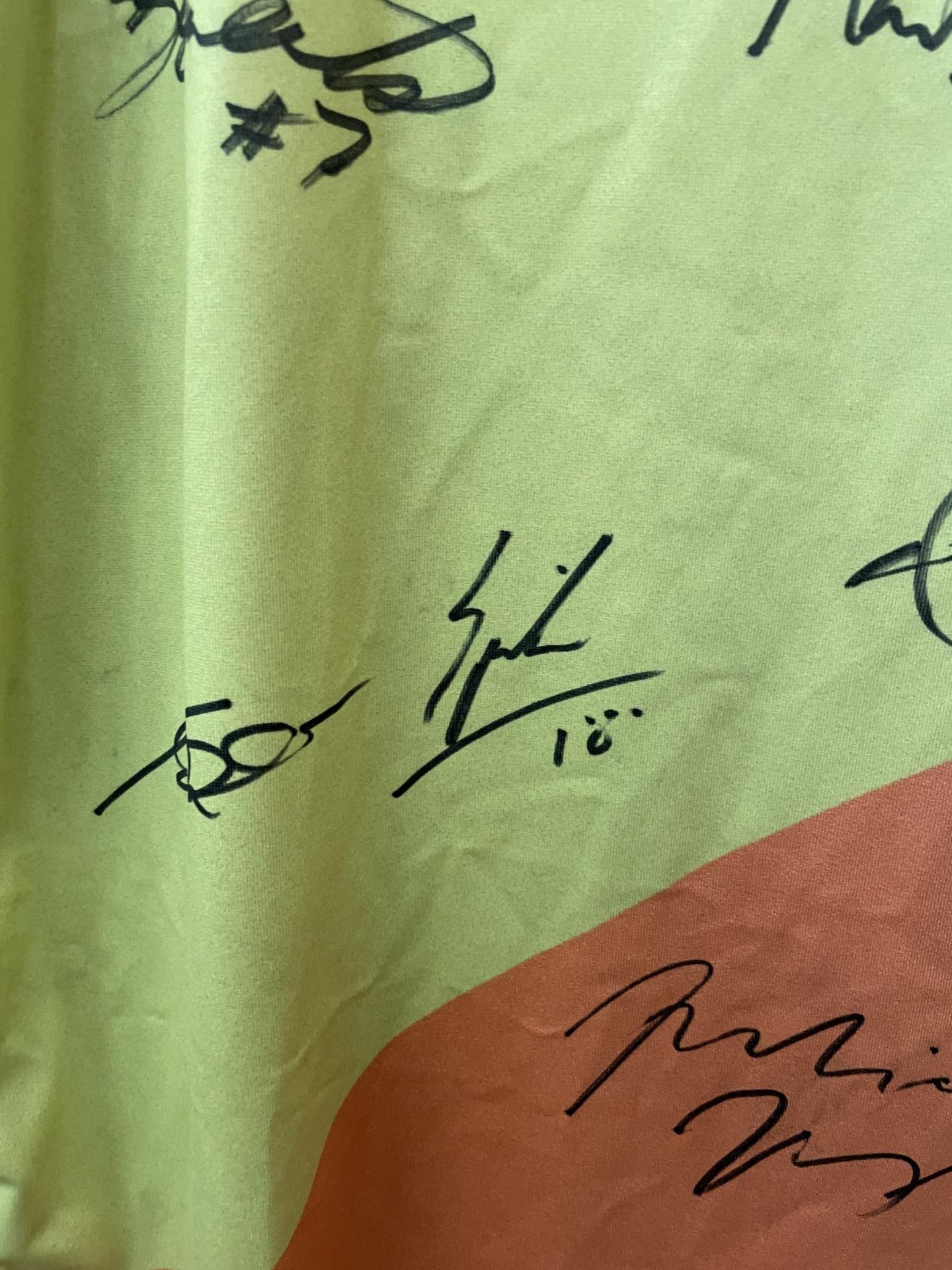 A FIFA WORLD CUP 2006 GERMANY SIGNED FLAG - Image 5 of 8