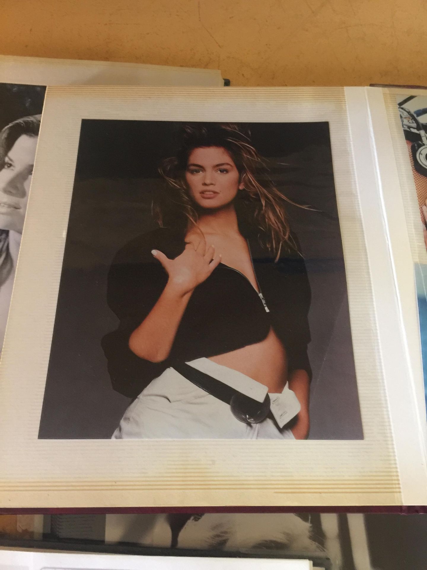 A LARGE QUANTITY OF PHOTOGRAPHS IN ALBUMS OF FEMALE ACTRESSES AND POP SINGERS TO INCLUDE SANDRA - Image 3 of 7