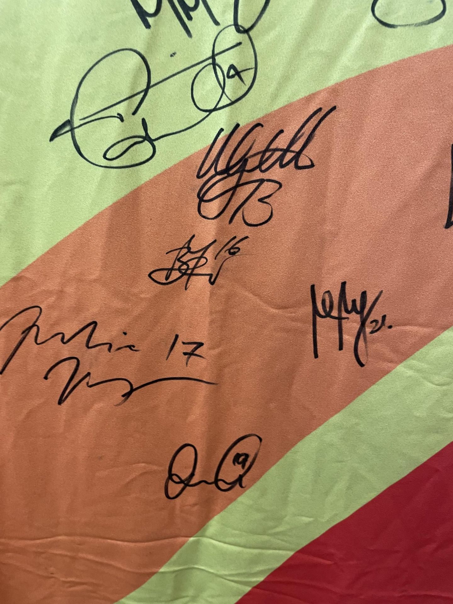 A FIFA WORLD CUP 2006 GERMANY SIGNED FLAG - Image 6 of 8
