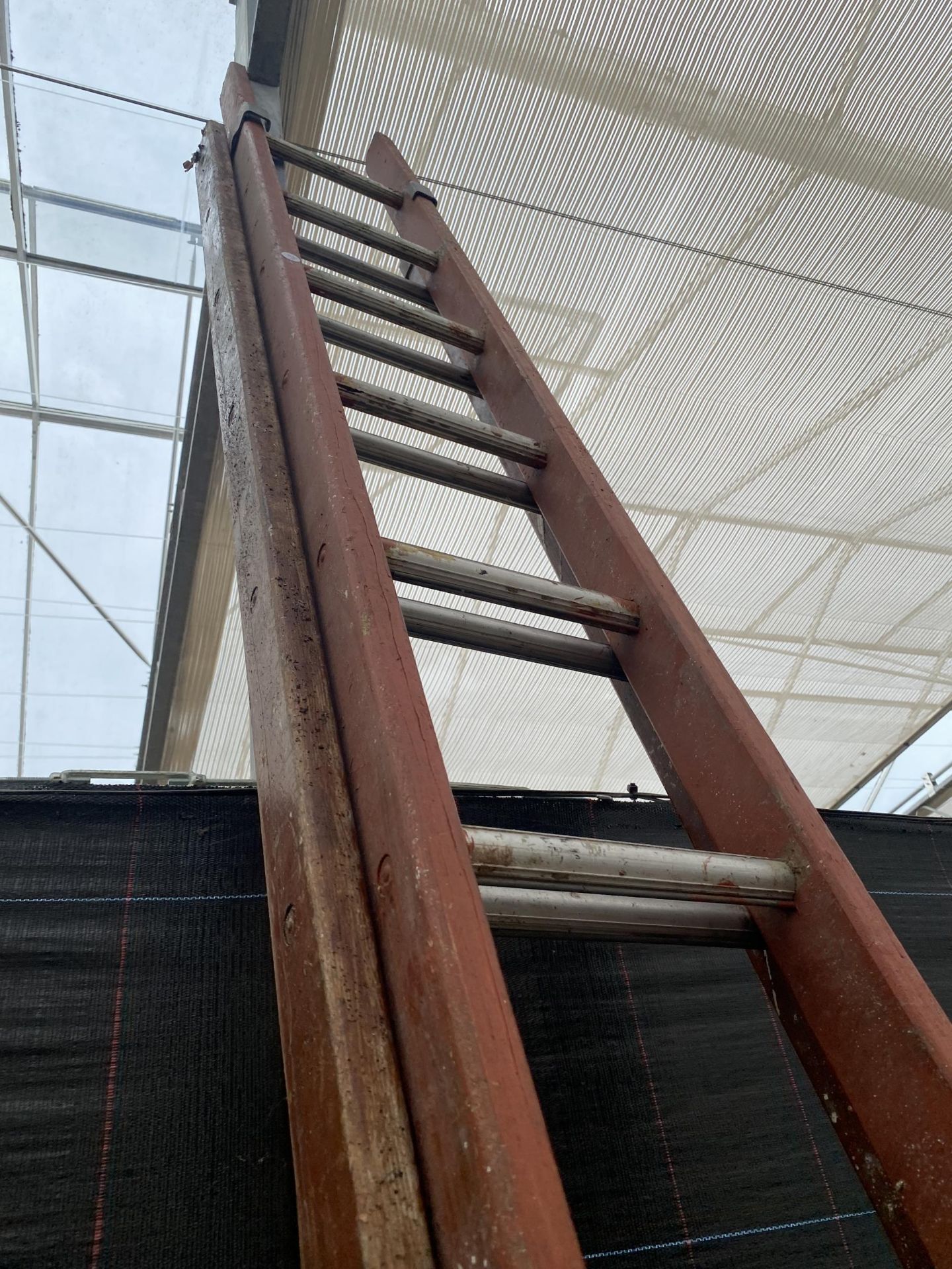 A 26 RUNG TWO SECTION WOODEN EXTENDABLE LADDER - Image 3 of 3