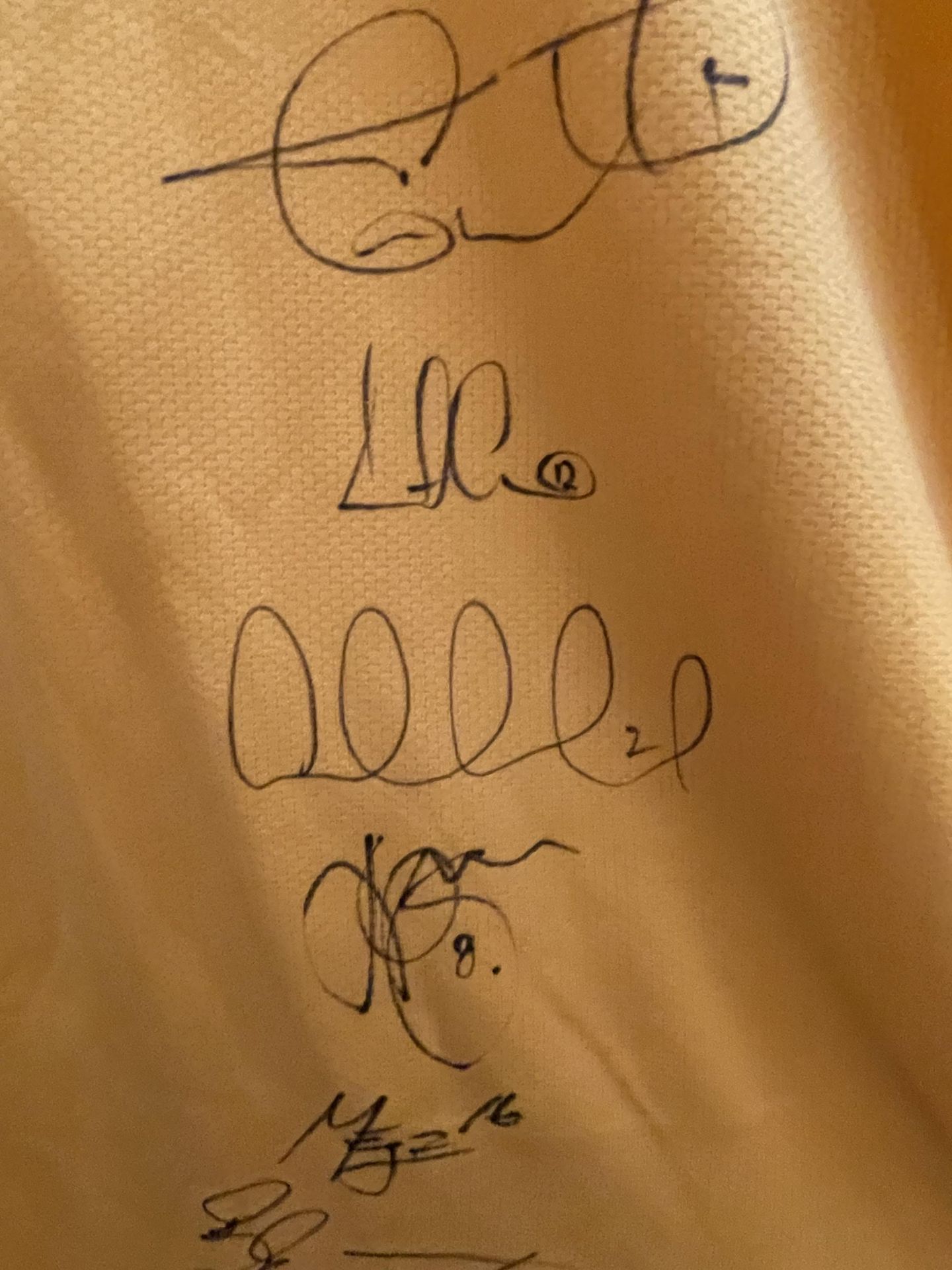 A SIGNED AUSTRALIAN FIFA 2006 WORLD CUP, GERMANY SHIRT - Image 8 of 9