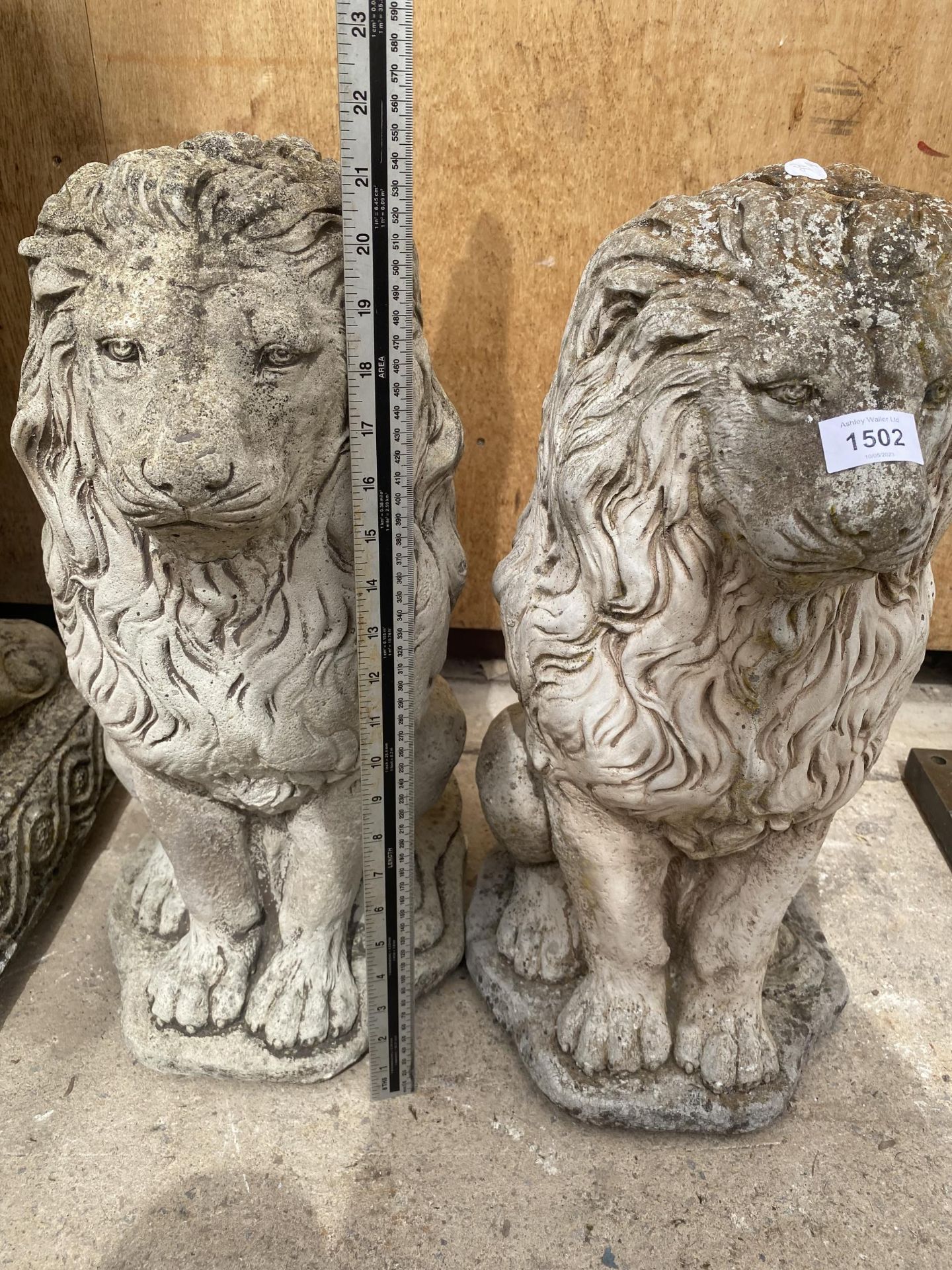 A PAIR OF RECONSTITUTED STONE SEATED LIONS (H:54CM) - Image 3 of 3