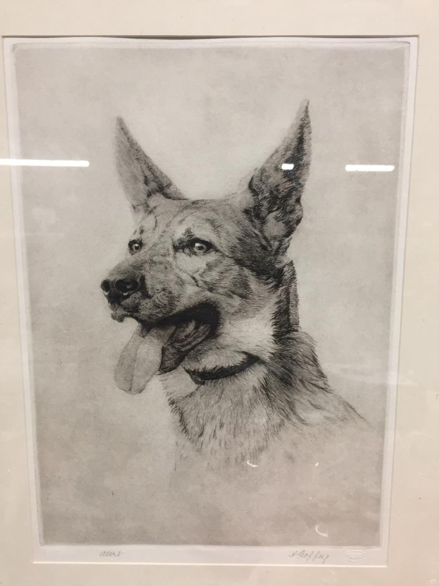 A FRAMED ARTIST PROOF PENCIL DRAWING OF A DOG 'ALERT' SIGNED 'GOFFEY' - Image 2 of 3