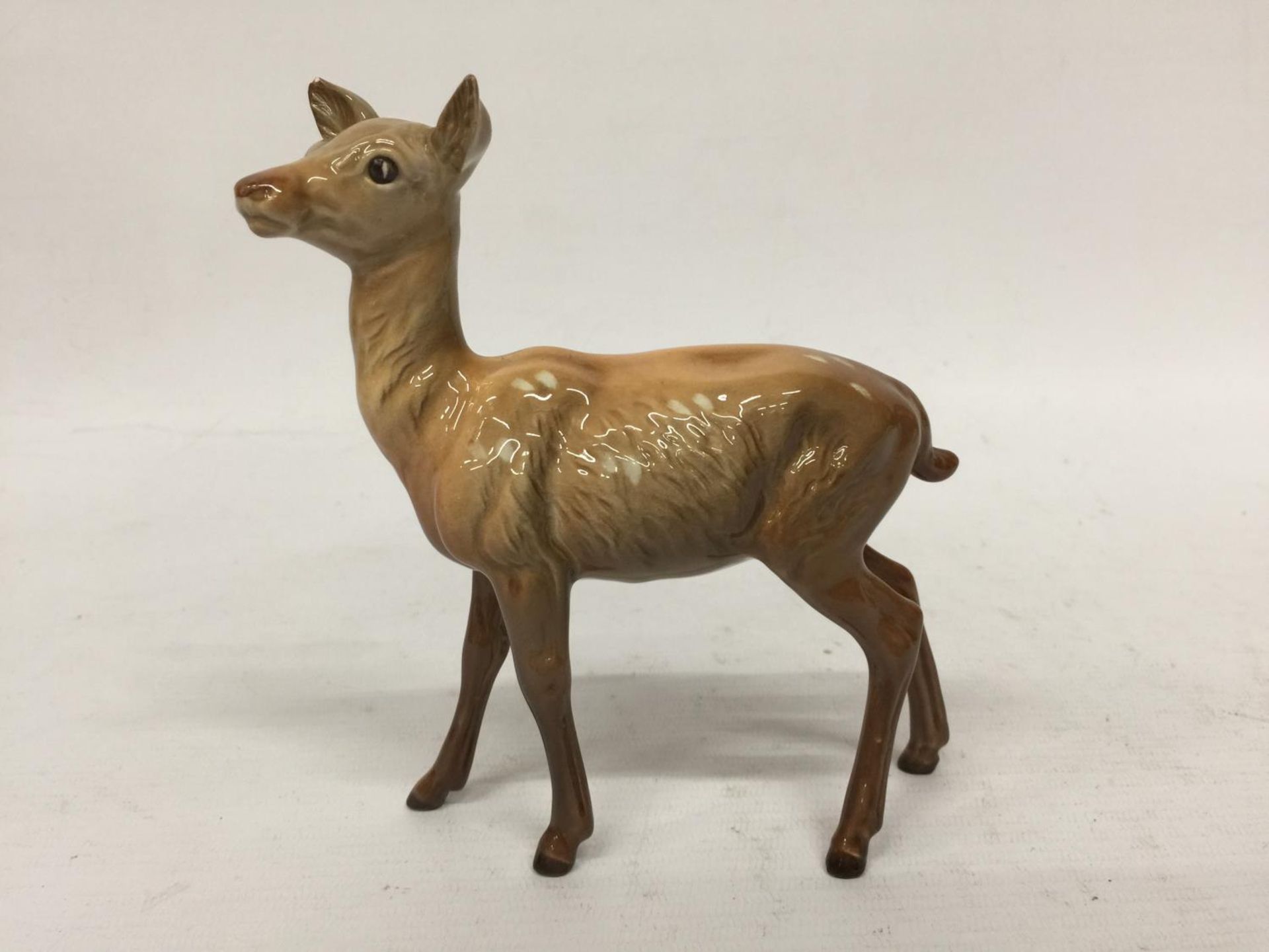 A BESWICK FALLOW DEER DOE