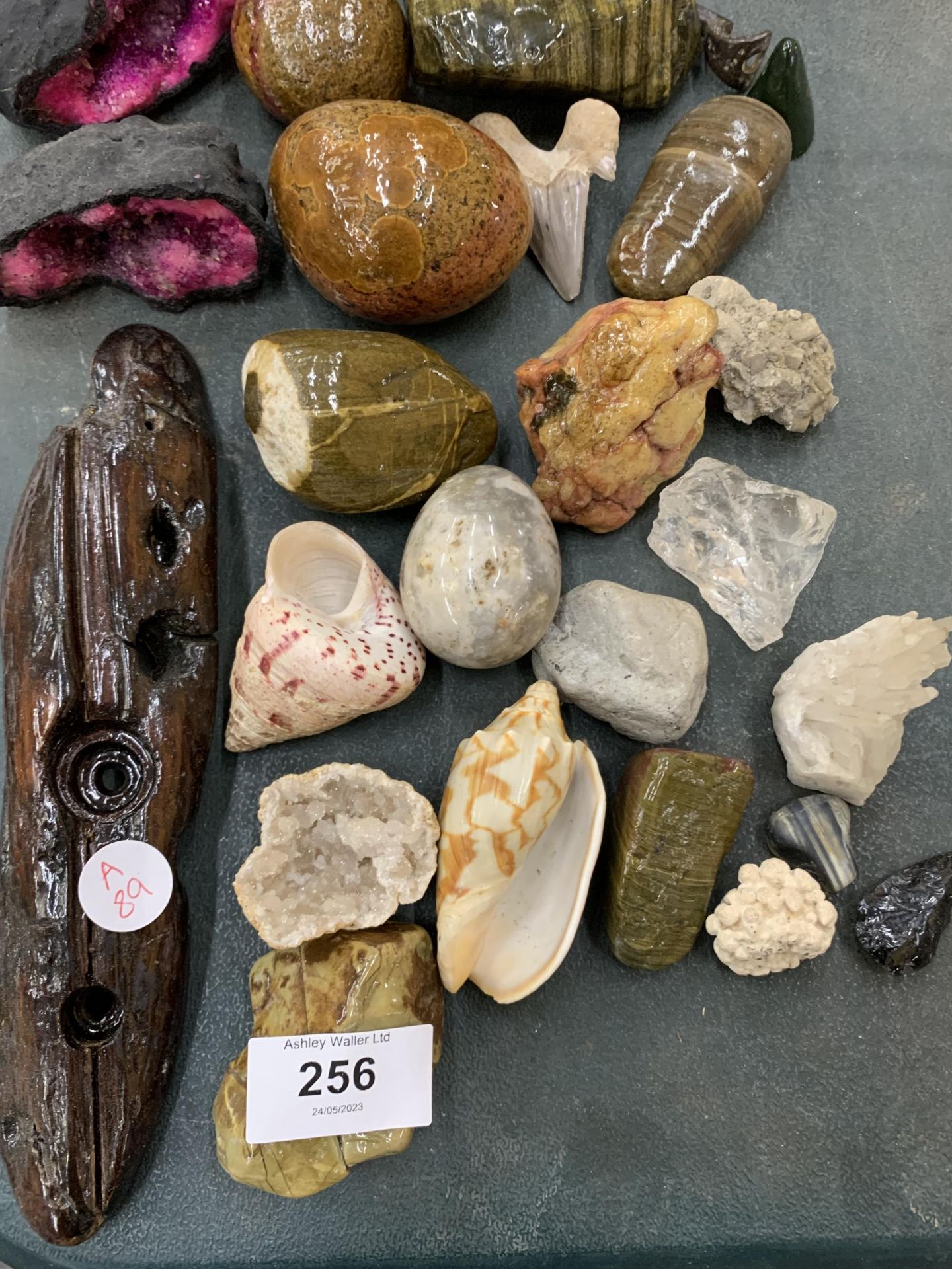 A MIXED LOT OF SHELLS, CRYSTAL ROCKS ETC - Image 2 of 4