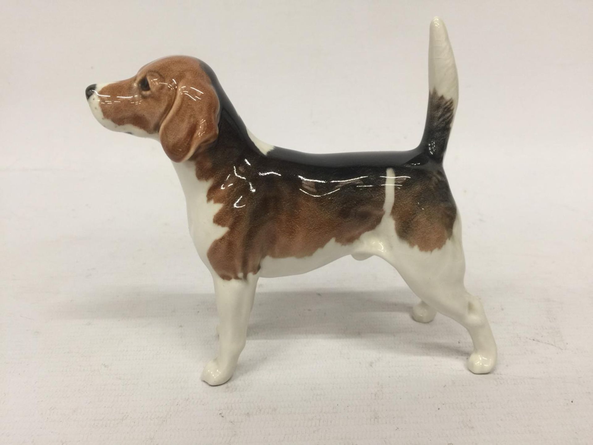 A BESWICK WENDOVER BILLY DOG