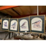 FOUR FRAMED PRINTS OF GARDEN BIRDS TO INCLUDE A SONG THRUSH, CHAFFINCH, NUTHATCH AND WREN